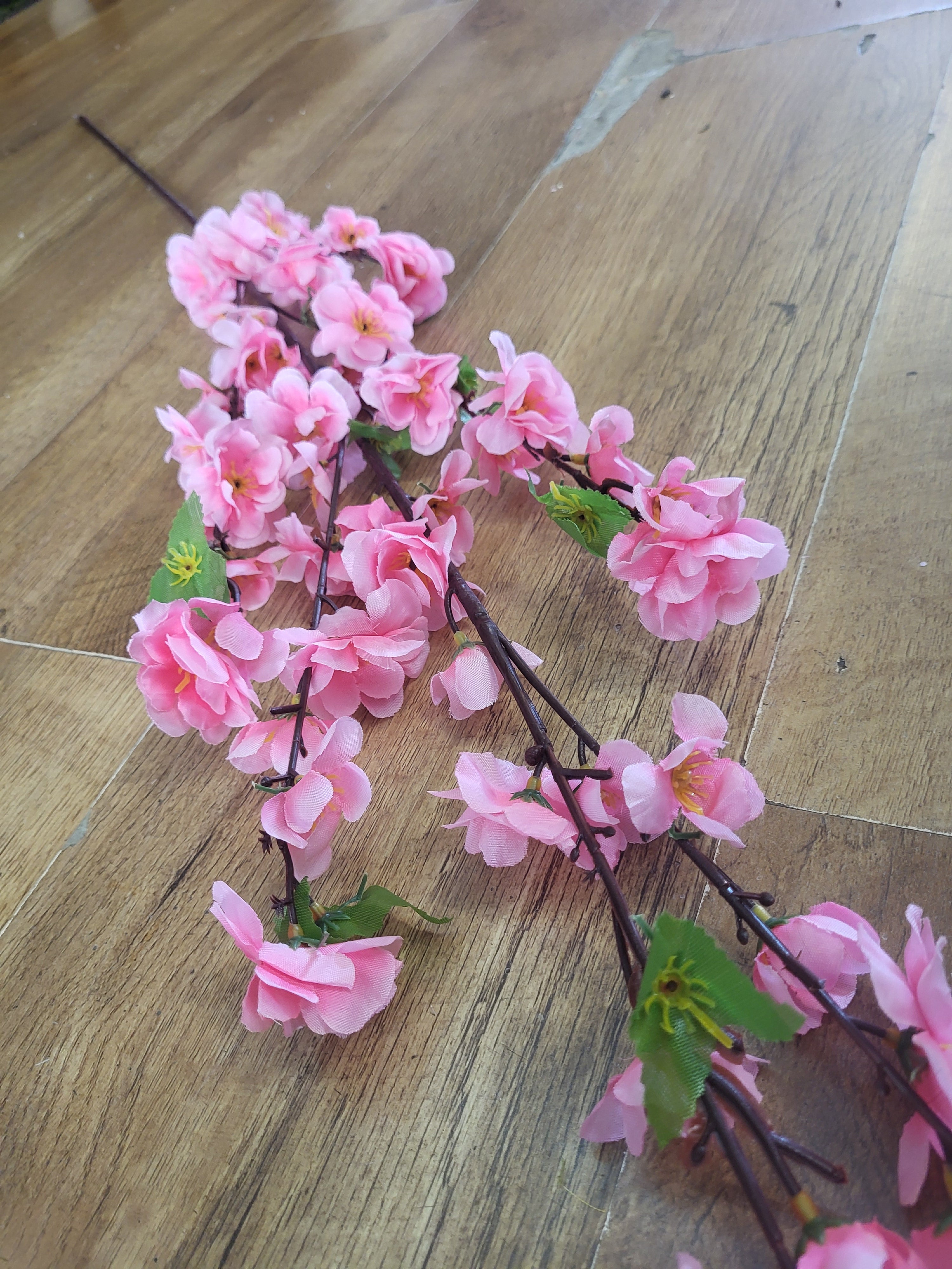 Extra tall pink blossom stem image 1