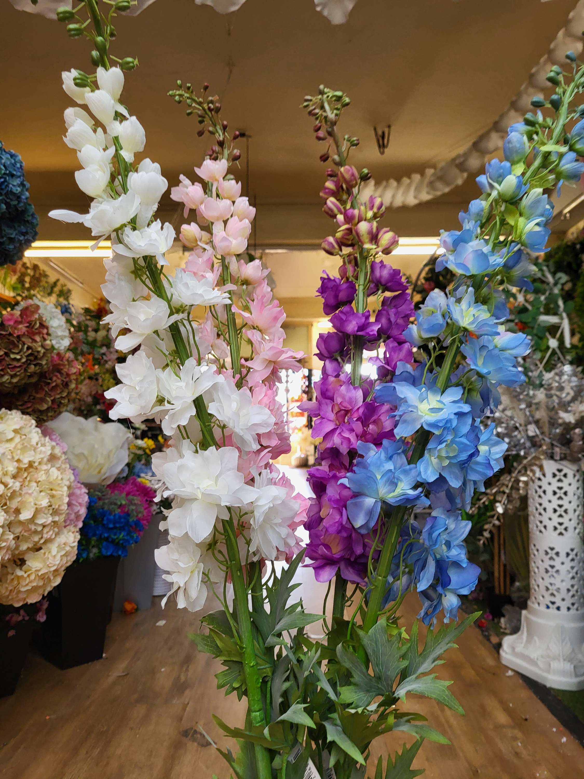 Giant delphiniums!! 137cm tall! - 4 colours available image 12