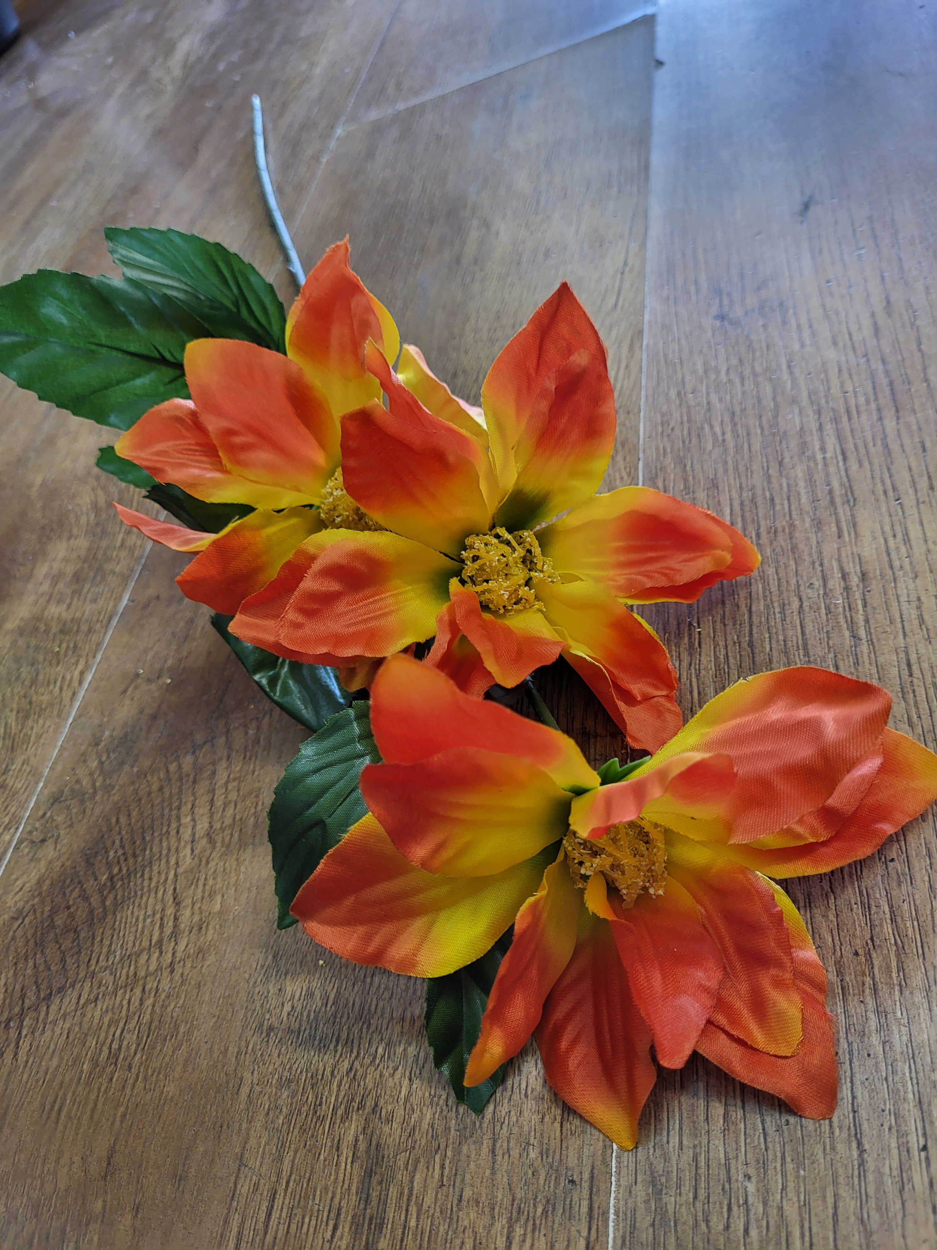 Long stem zinnia - 4 colours available image 1