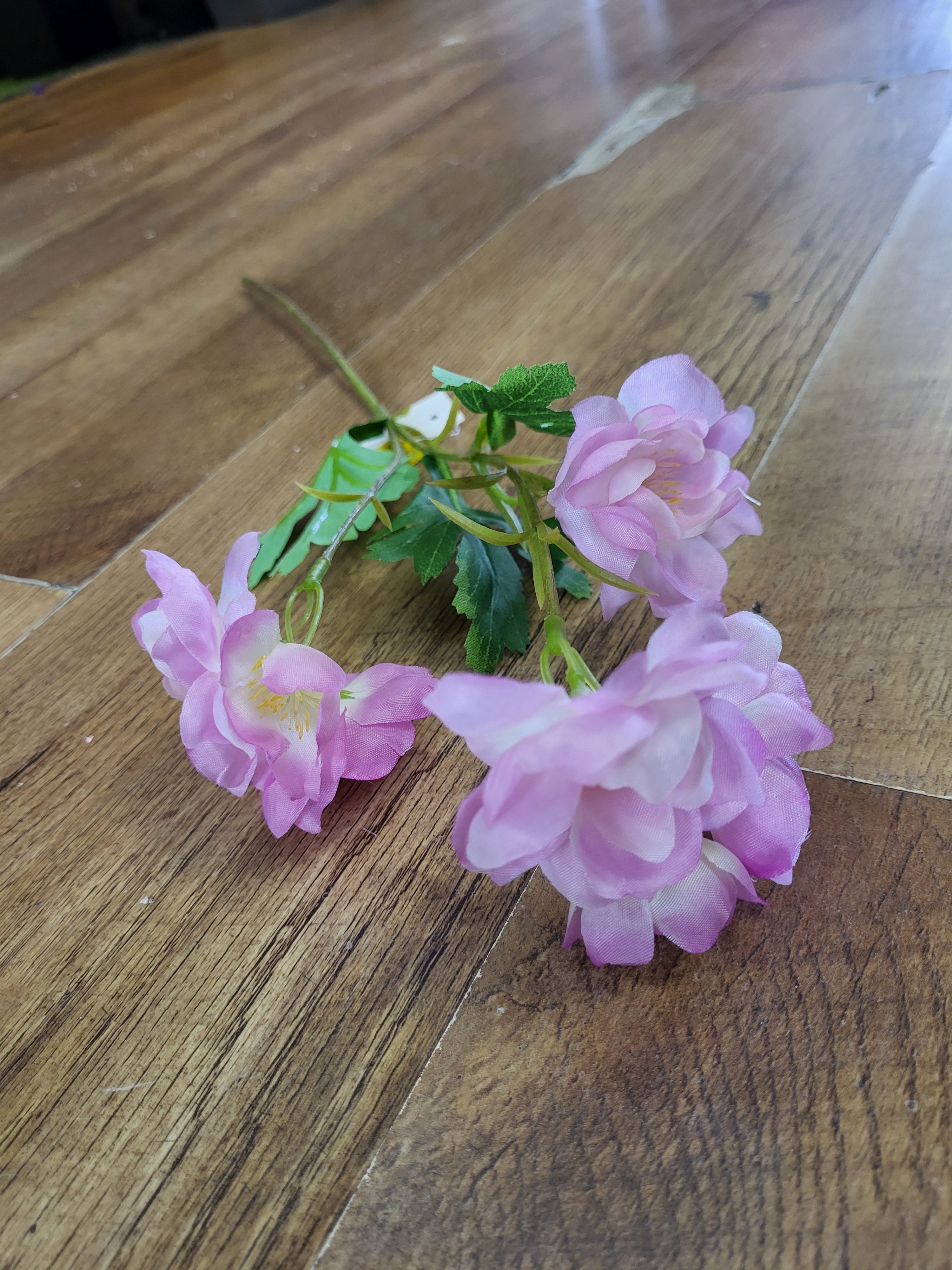 Short stem pink Delia  image 2