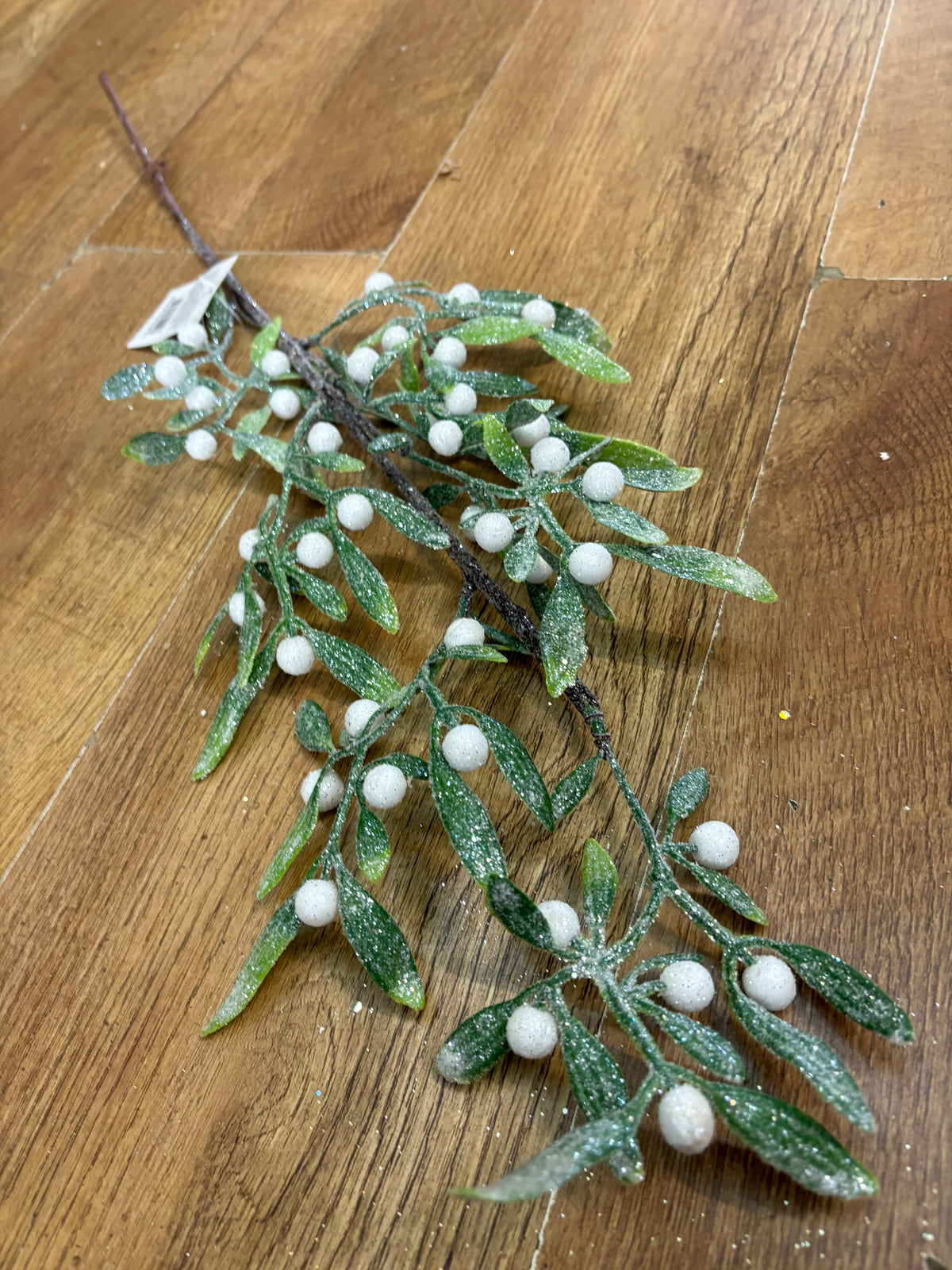Long stem frosted mistletoe branch