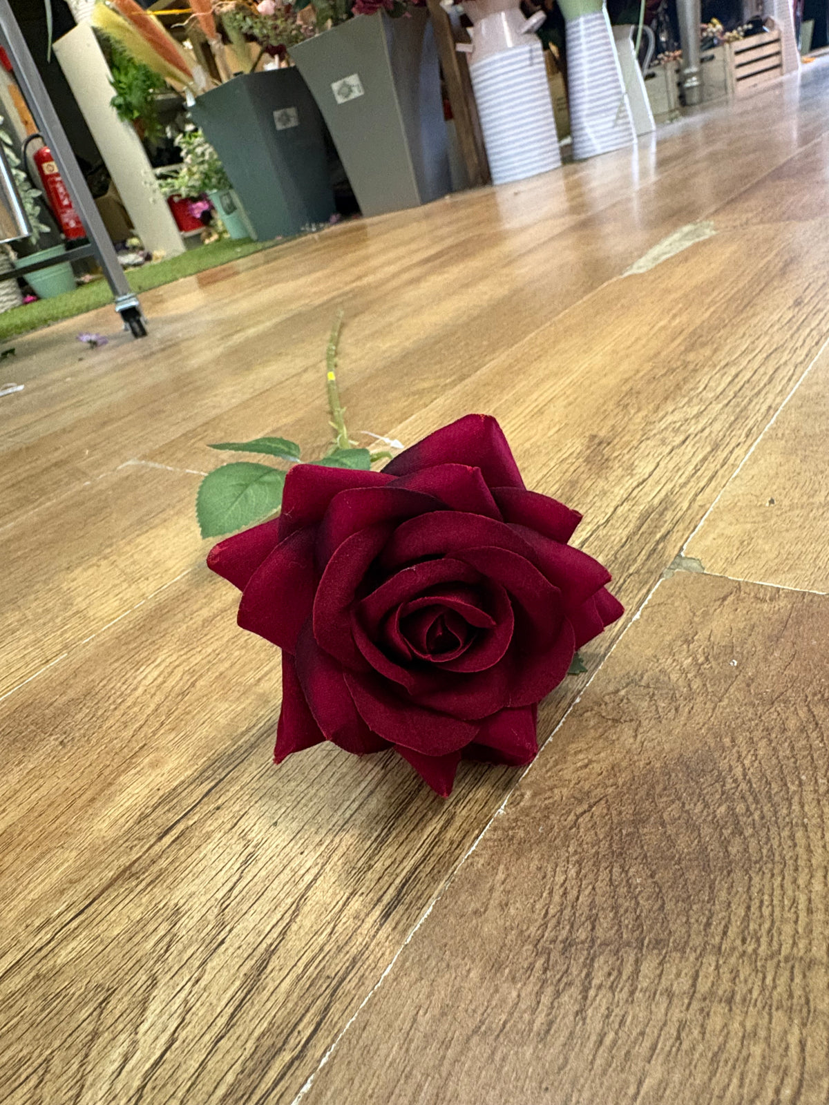 Dark red velvet single rose