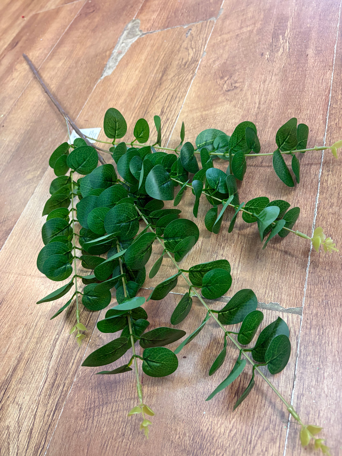 90cm long stem eucalyptus spray
