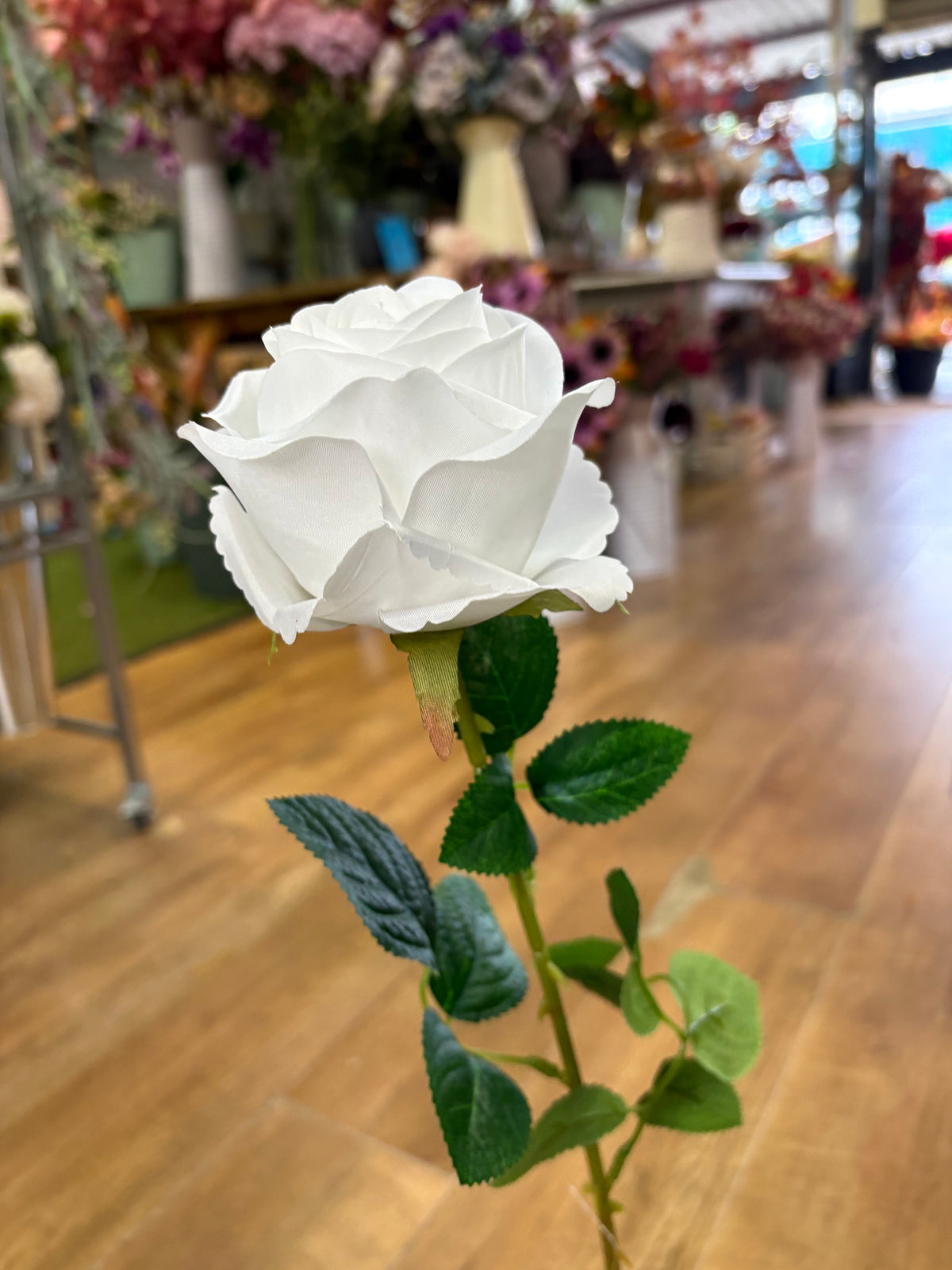 Long stem white harper rose