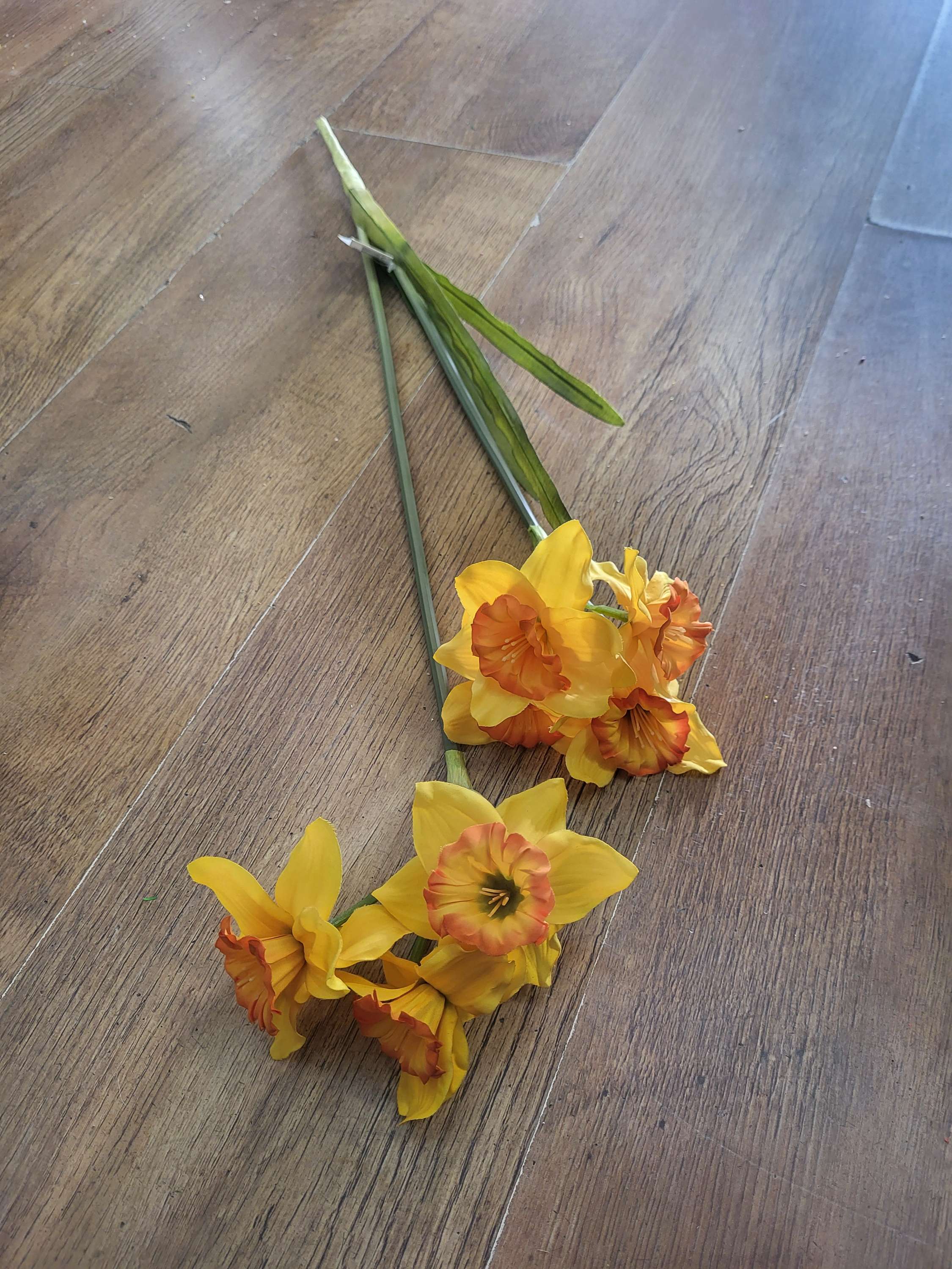 Long stem ruffled daffodil spray image 3