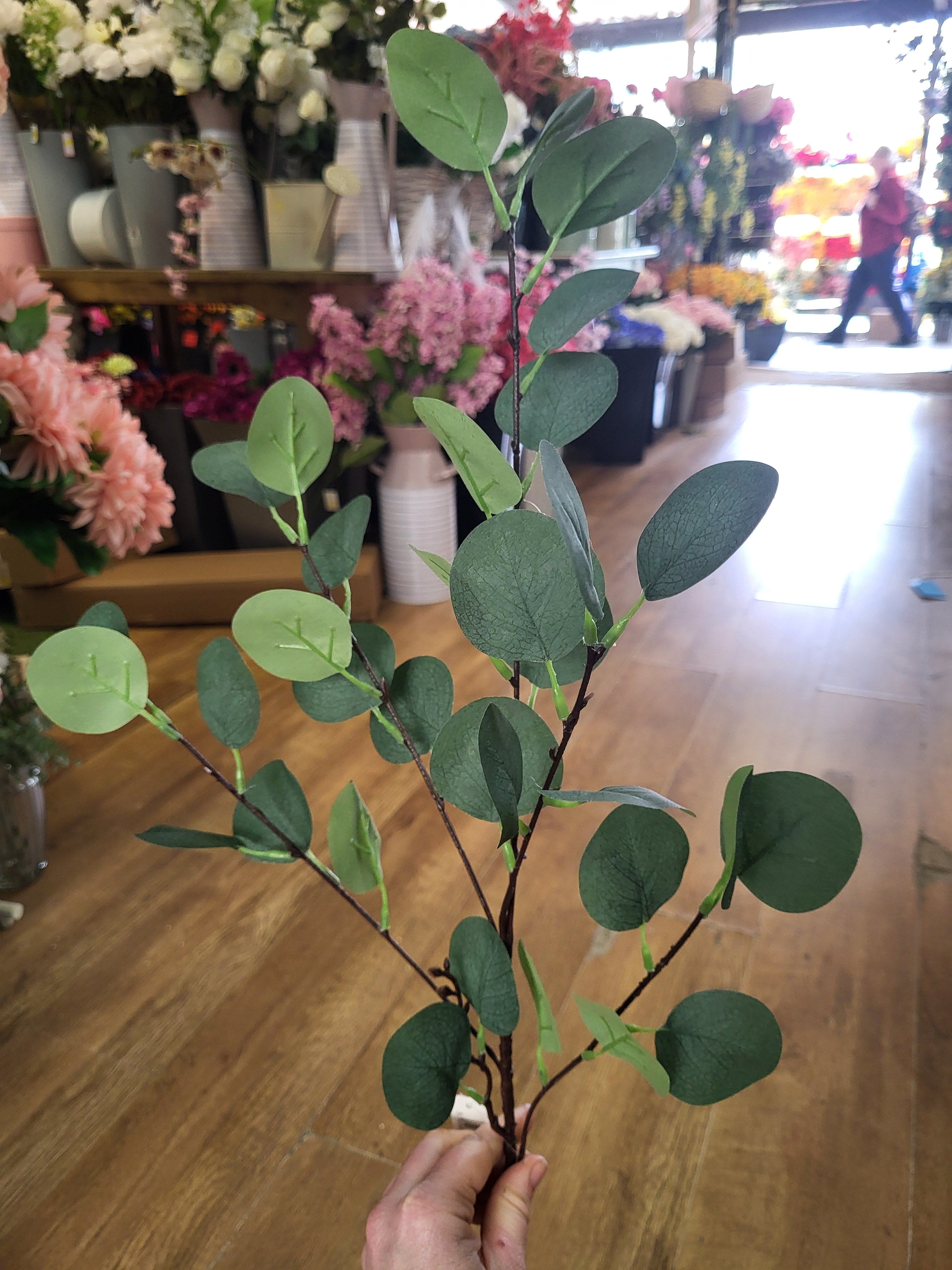 Long stem eucalyptus spray image 6