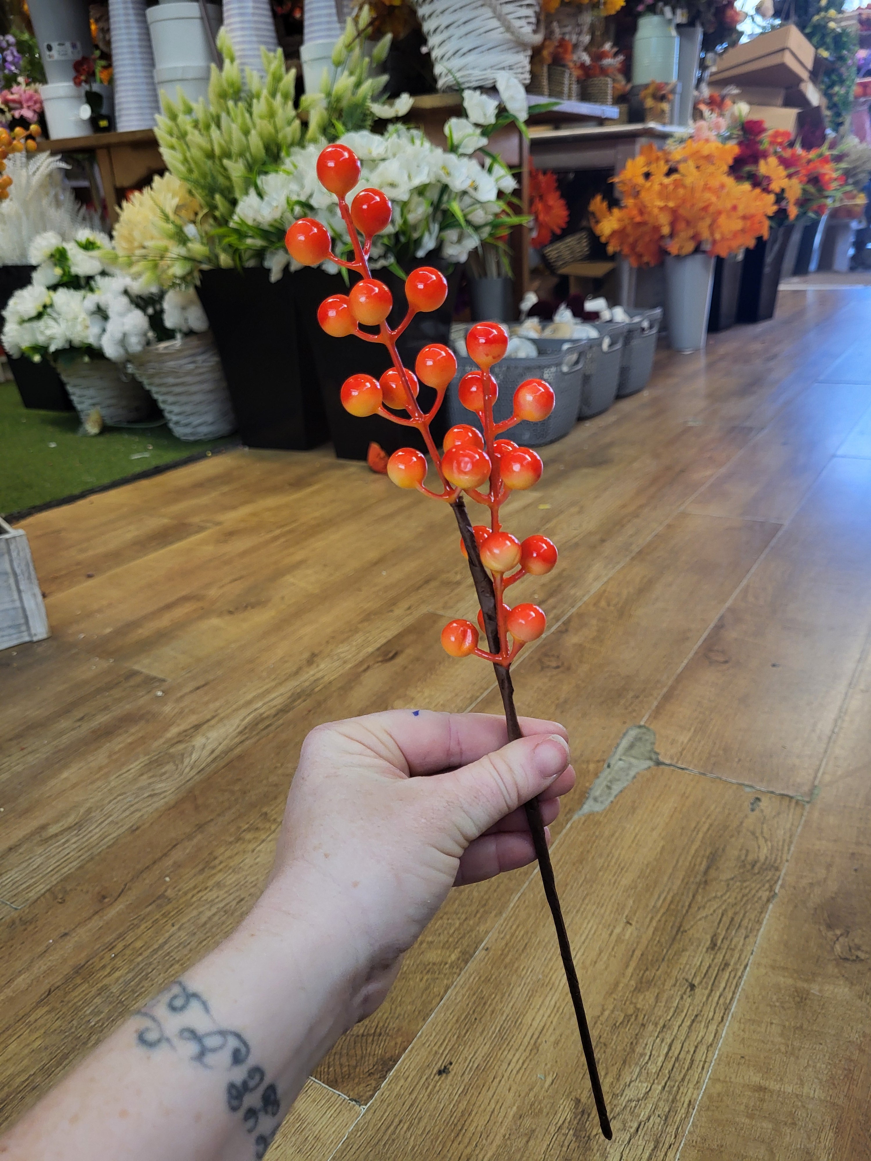 Orange berry pick image 2