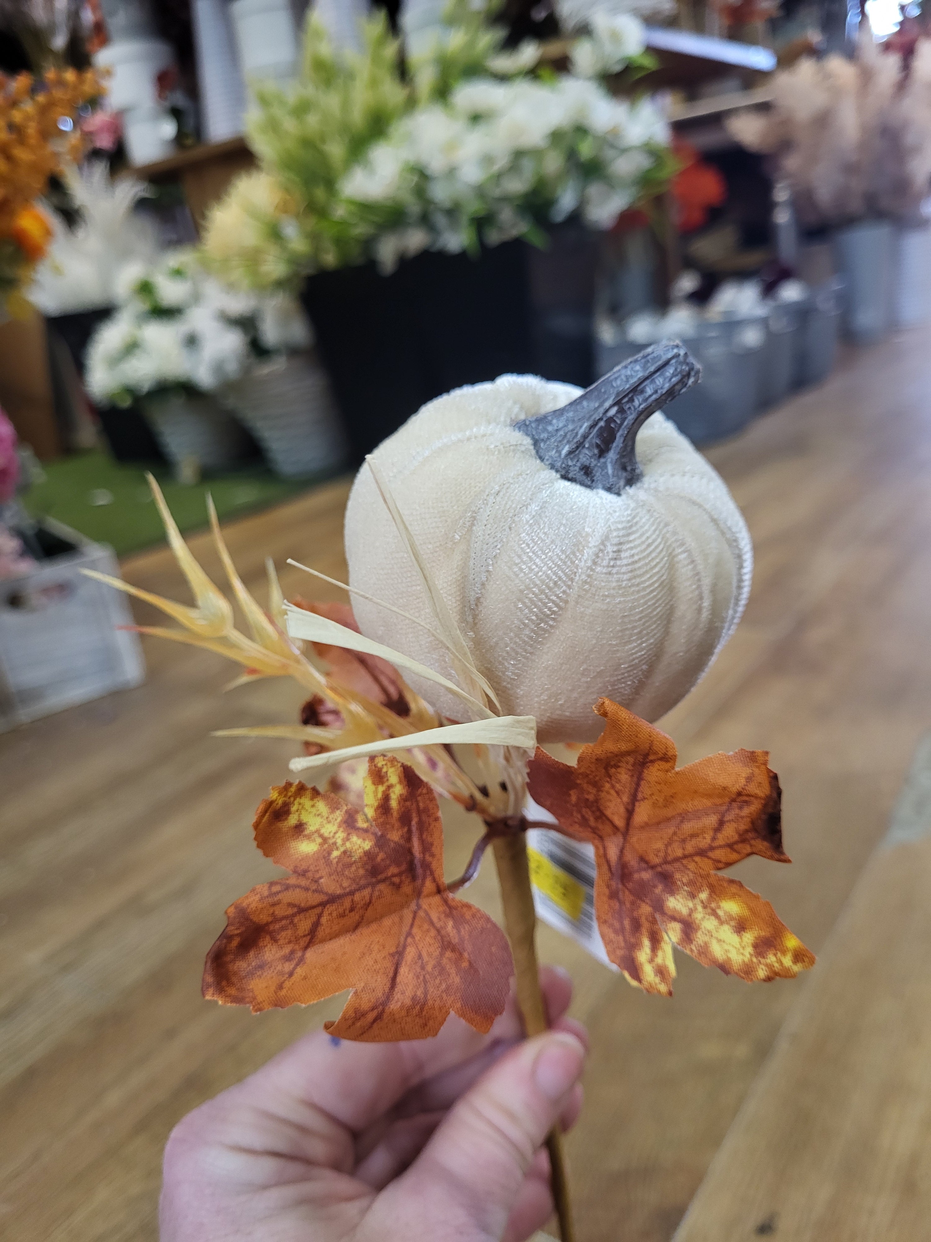 Medium cream velvet pumpkin stem  image 0