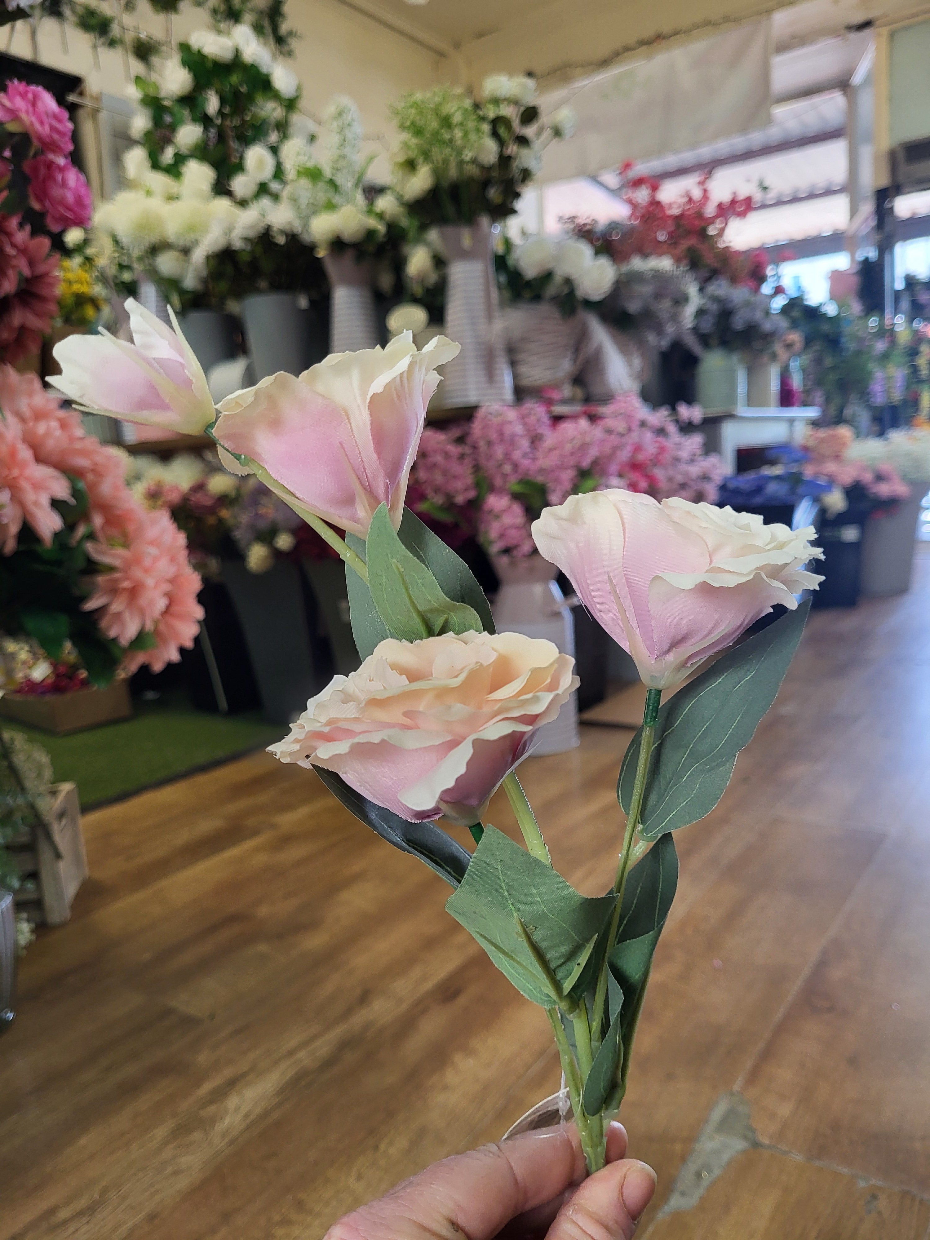 Long stem pale pink lisianthus  image 1