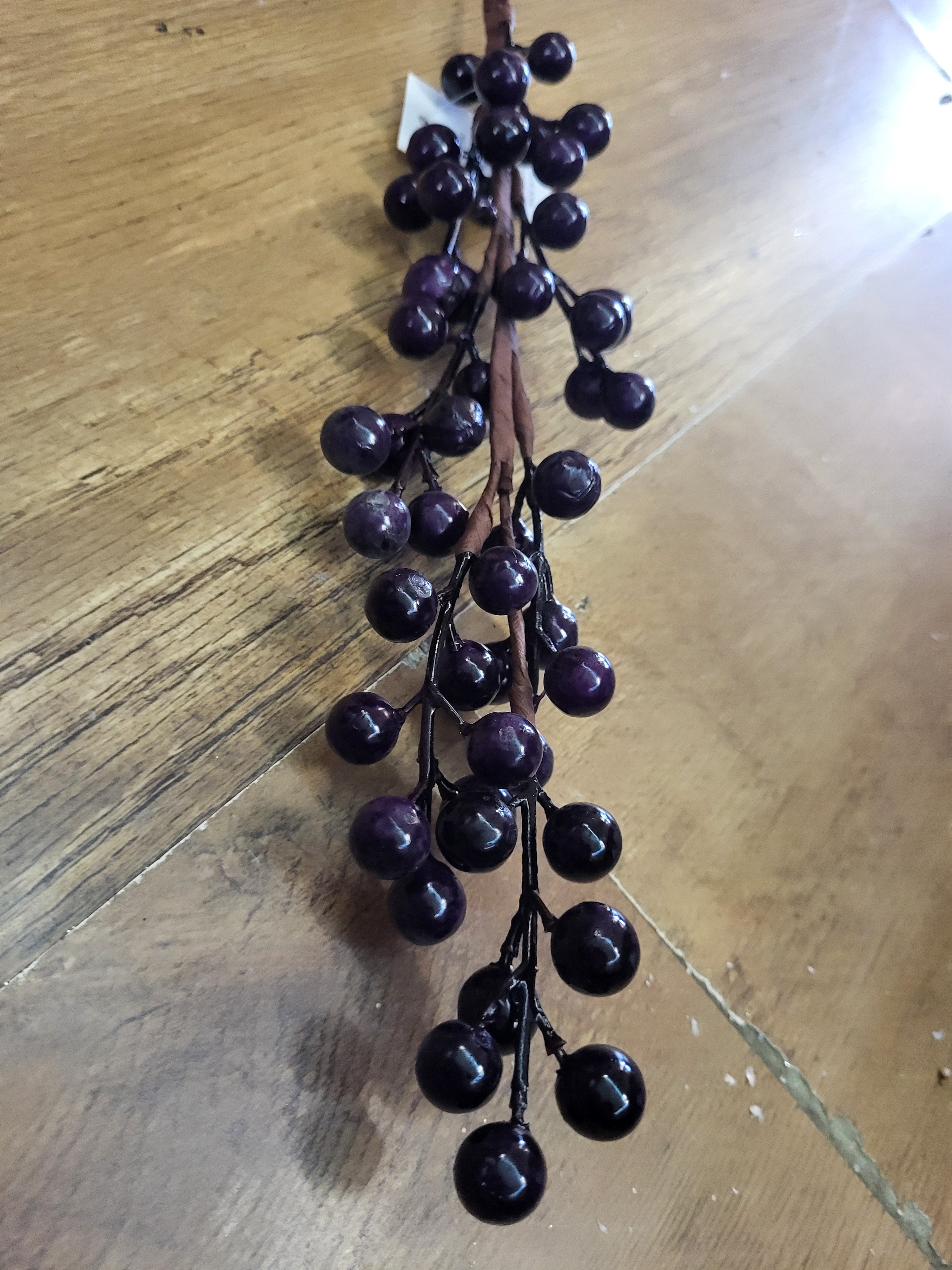 Dark purple berry stem image 3
