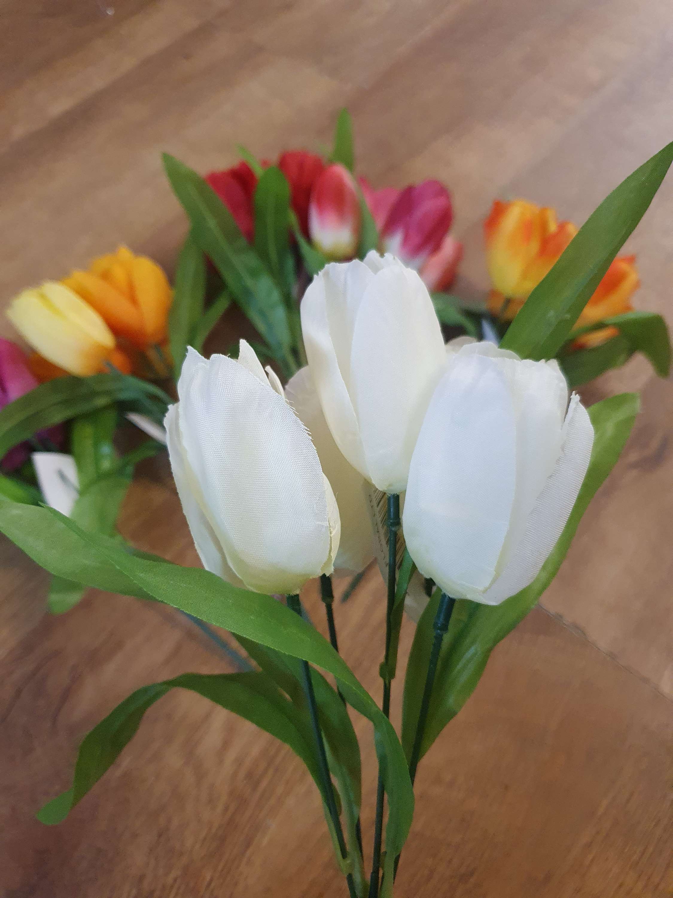 Tulips - 6 colours image 6