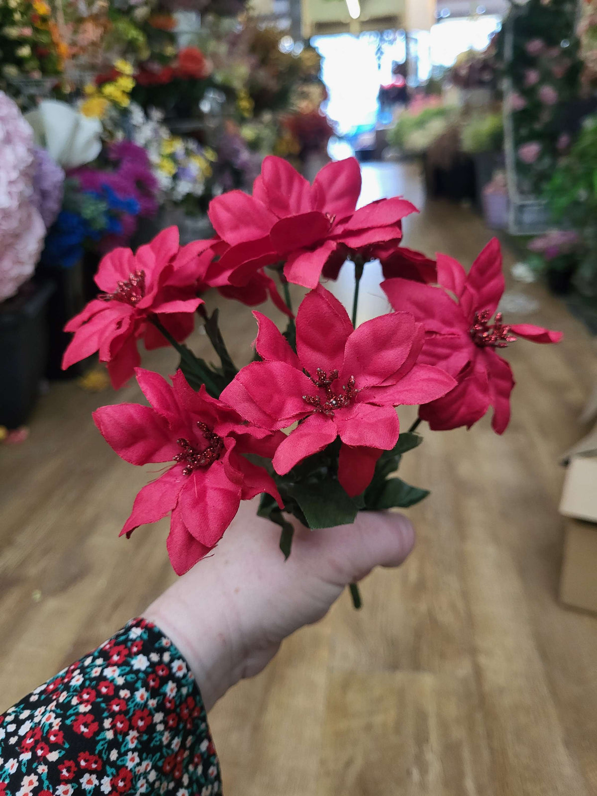 Mini poinsettia bunch - 4 colours available image 3