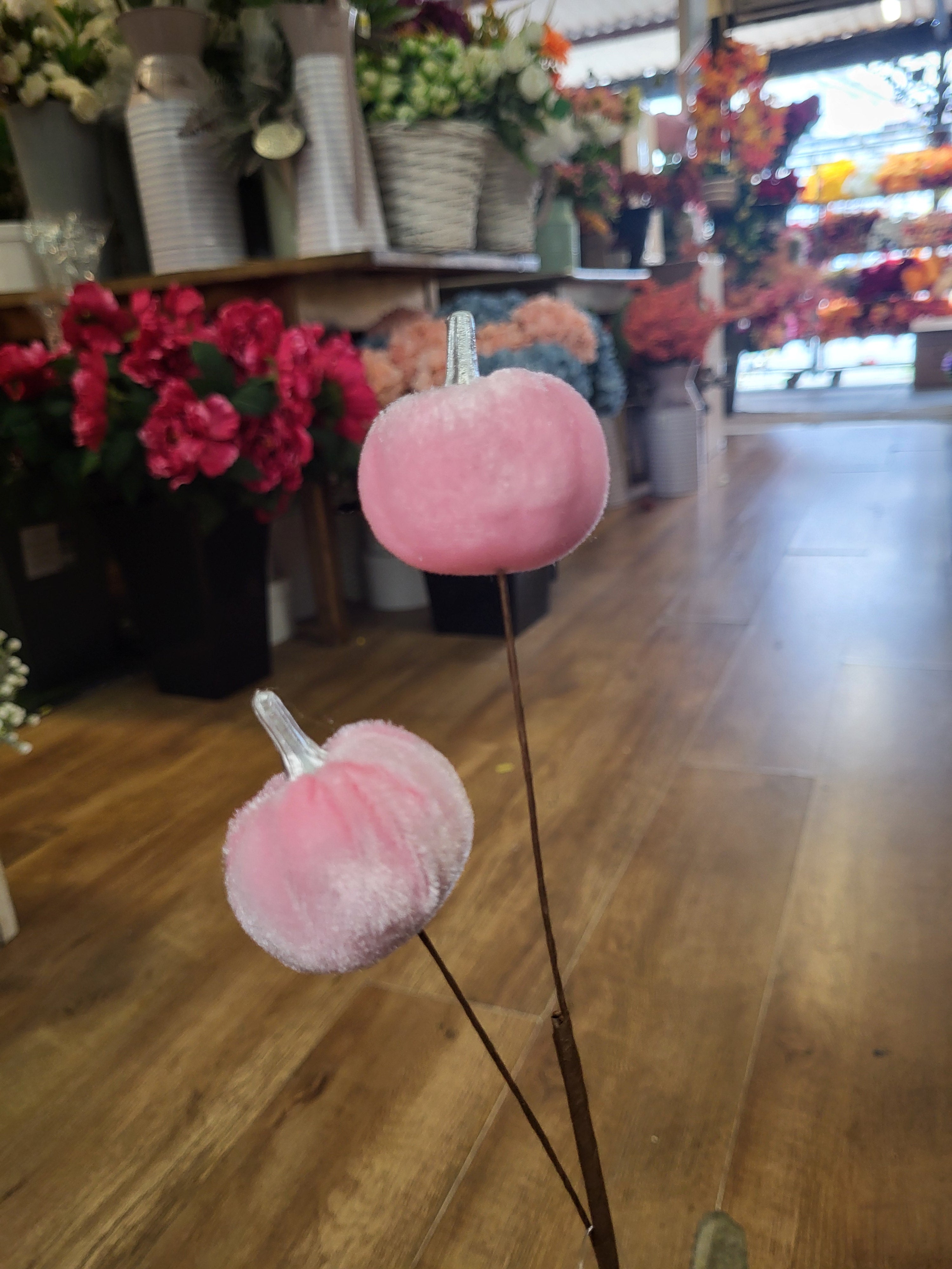 Medium length pale pink velvet pumpkin stem  image 0