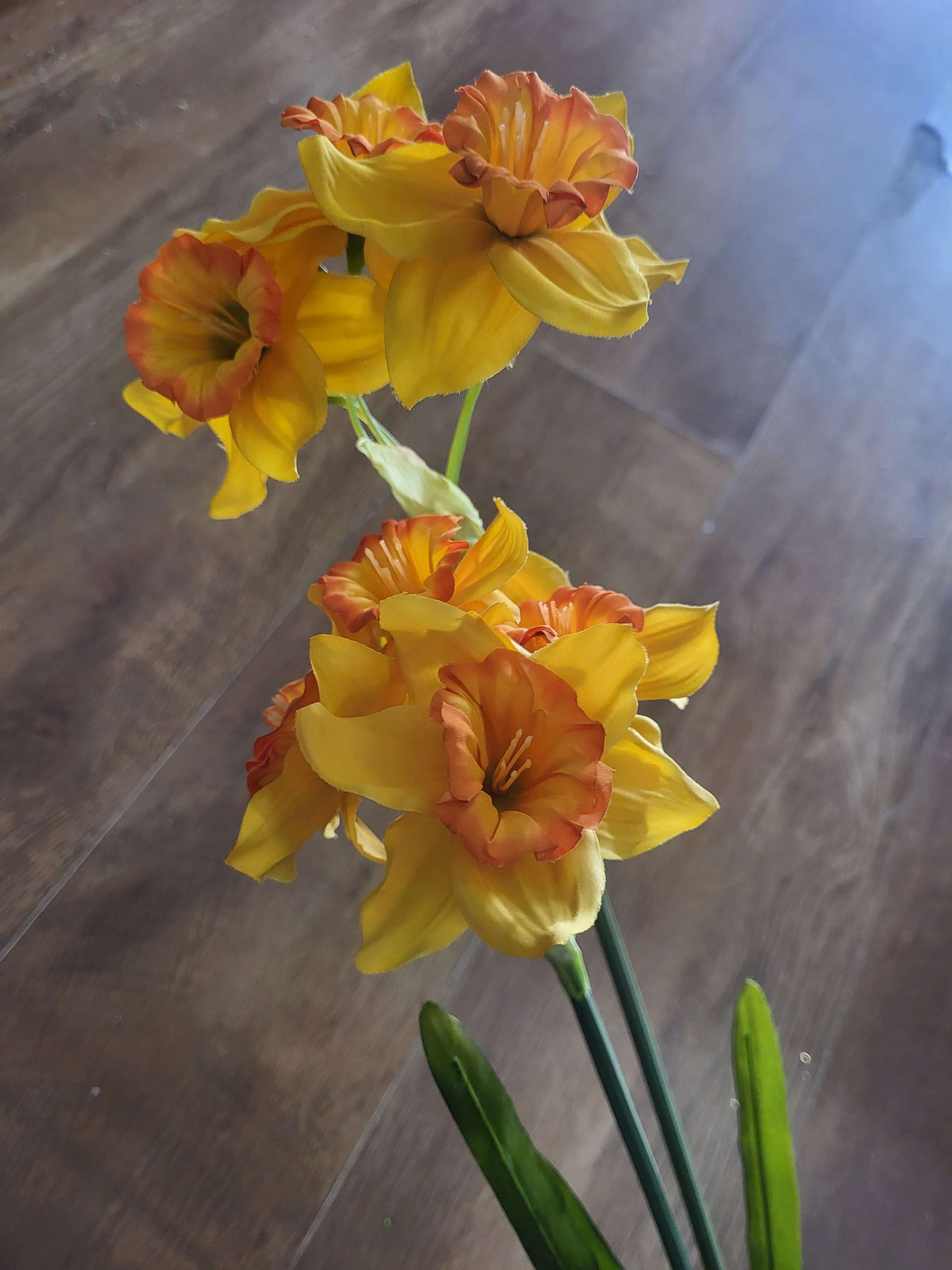 Long stem ruffled daffodil spray image 5