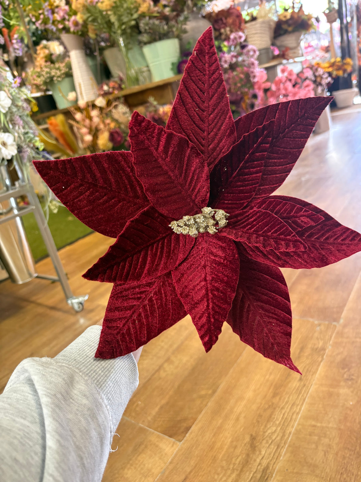 Large burgundy velvet single poinsettia