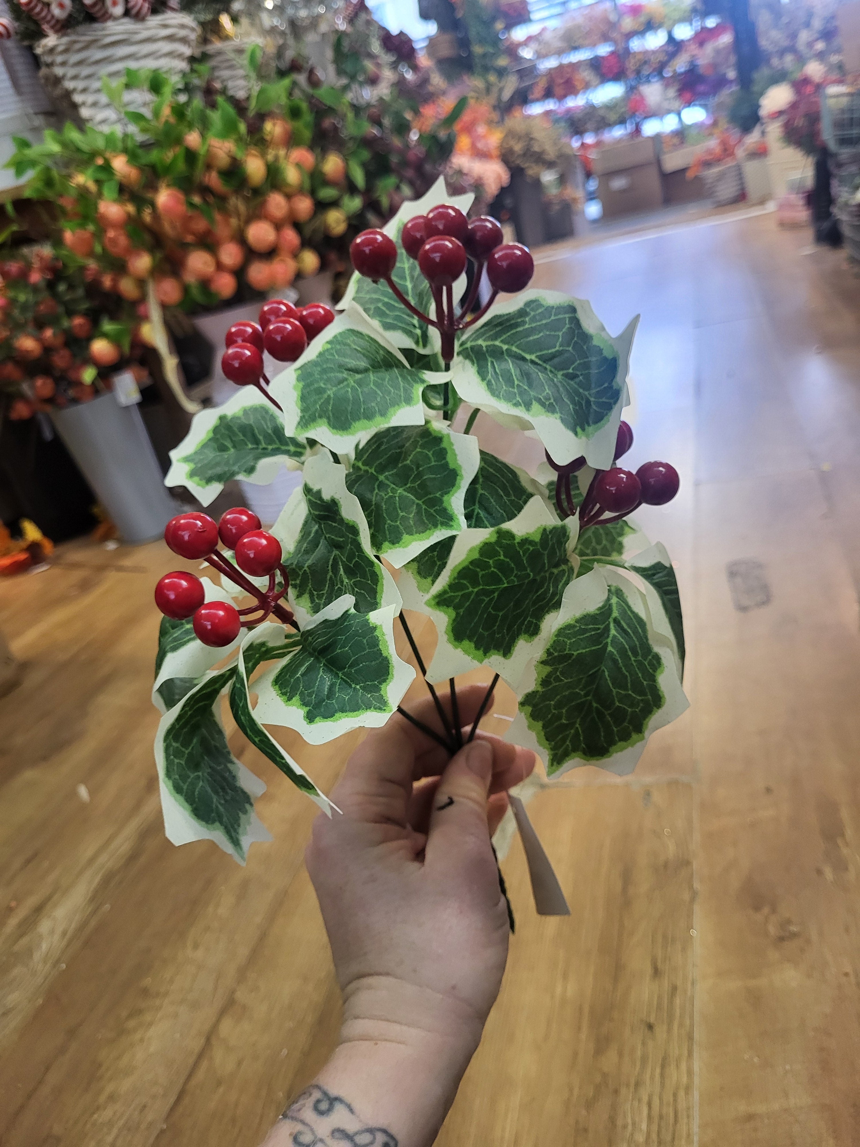 Variegated Holly bunch image 2