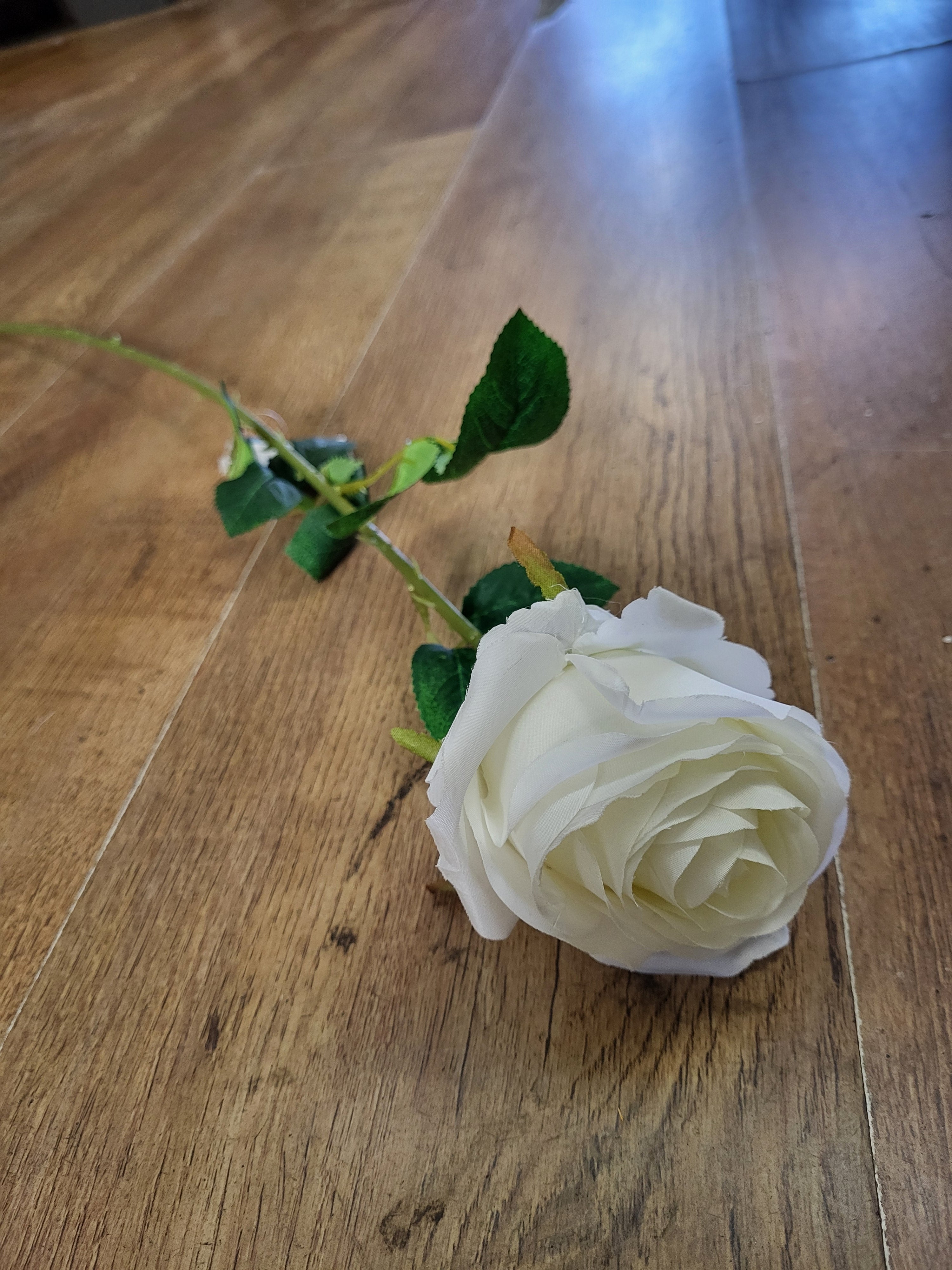 Single Ivory Harper Rose image 0