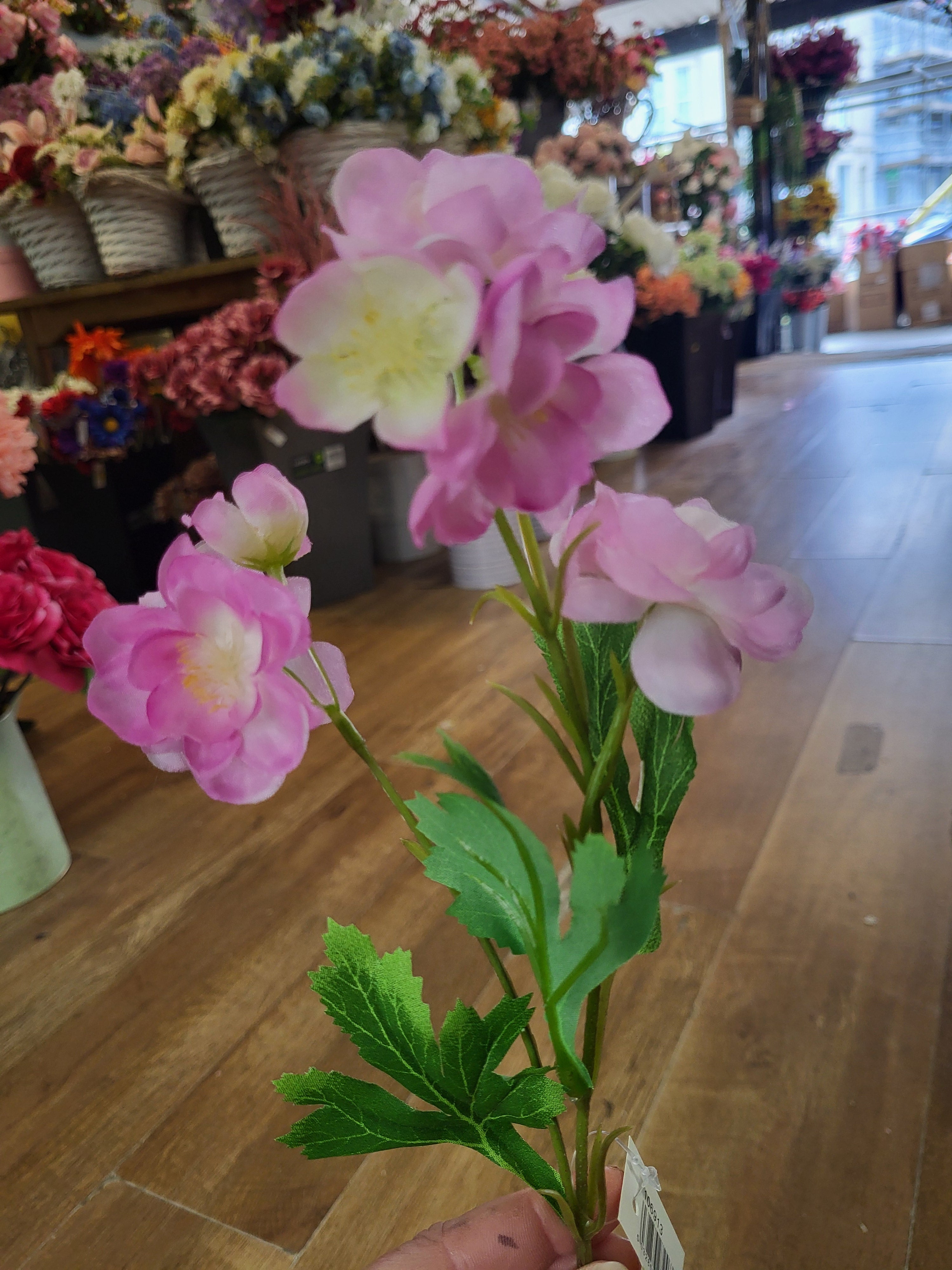 Short stem pink Delia  image 3