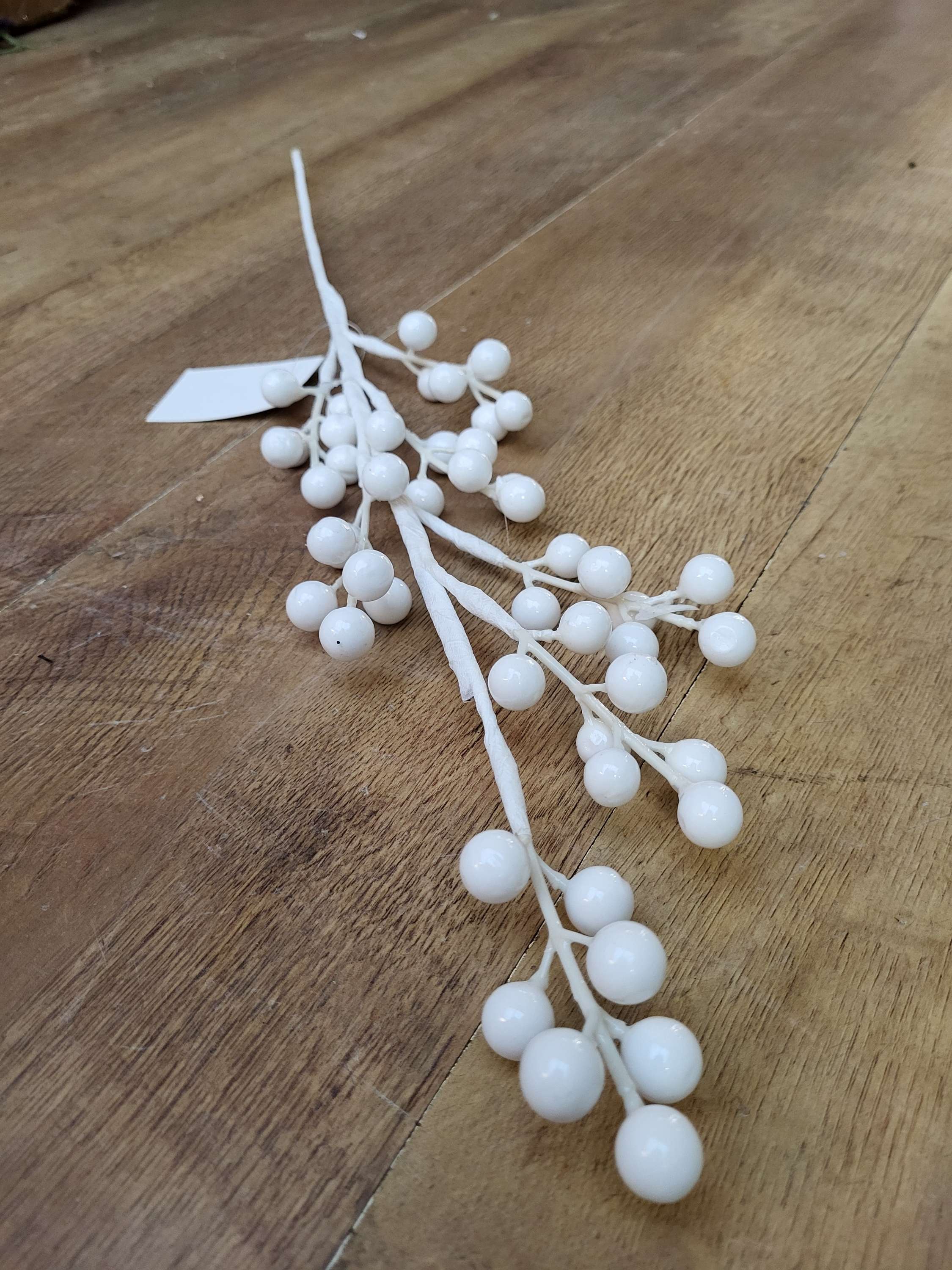 White berry stem image 0