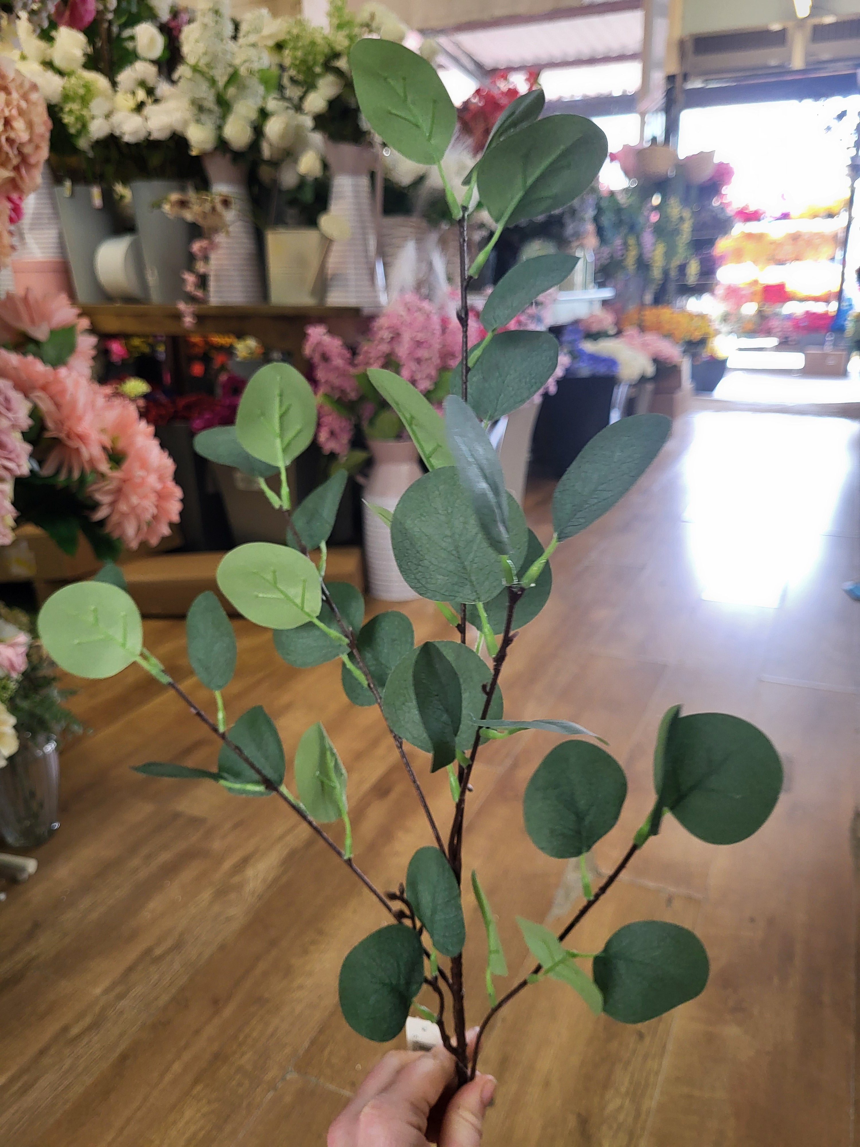 Long stem eucalyptus spray image 4