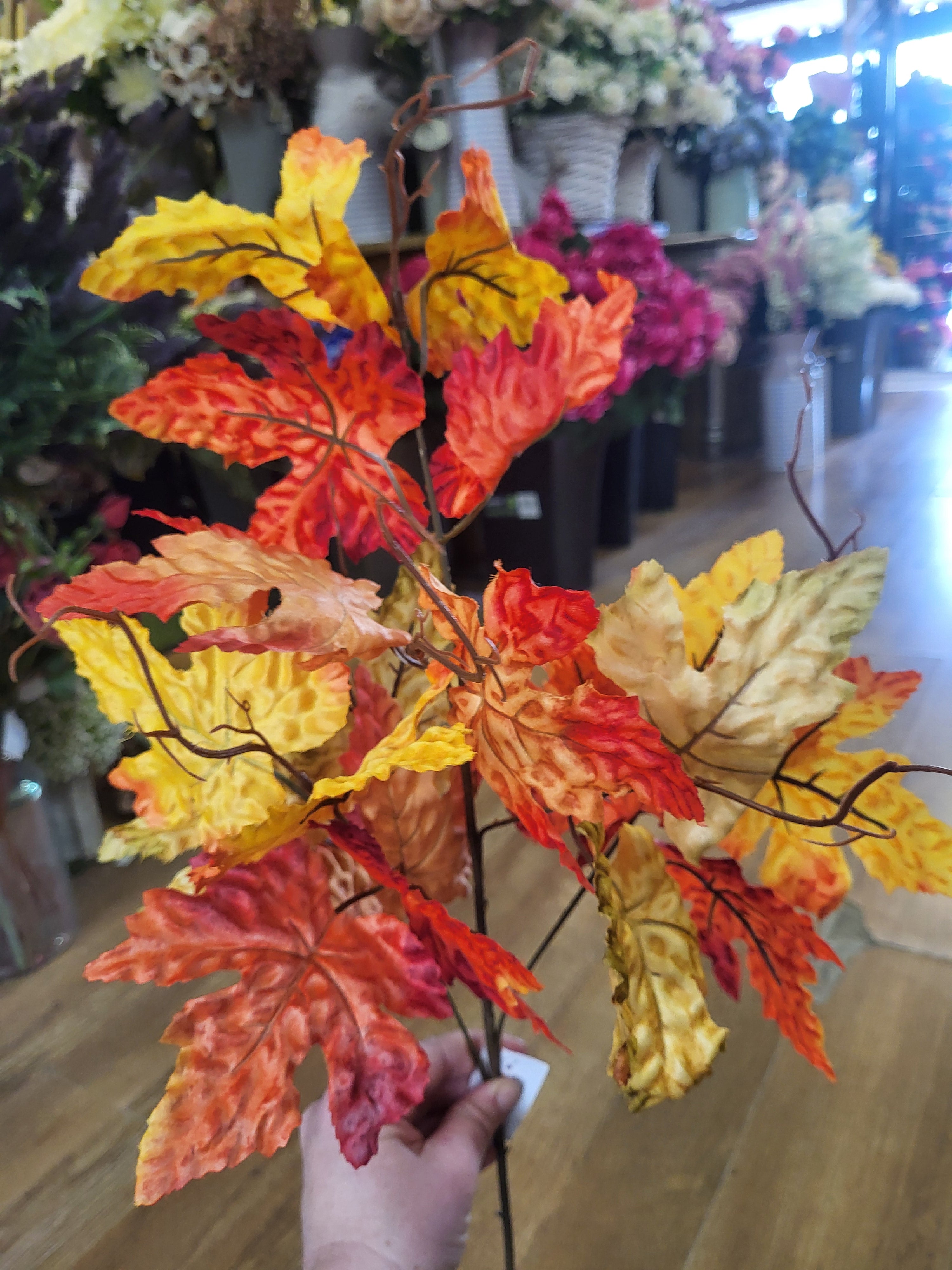 Long stem Autumn Maple leaf image 3