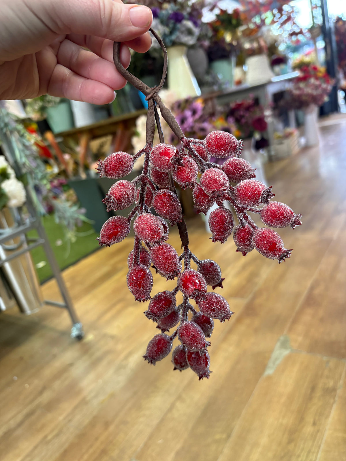24cm frosted rose hip swag