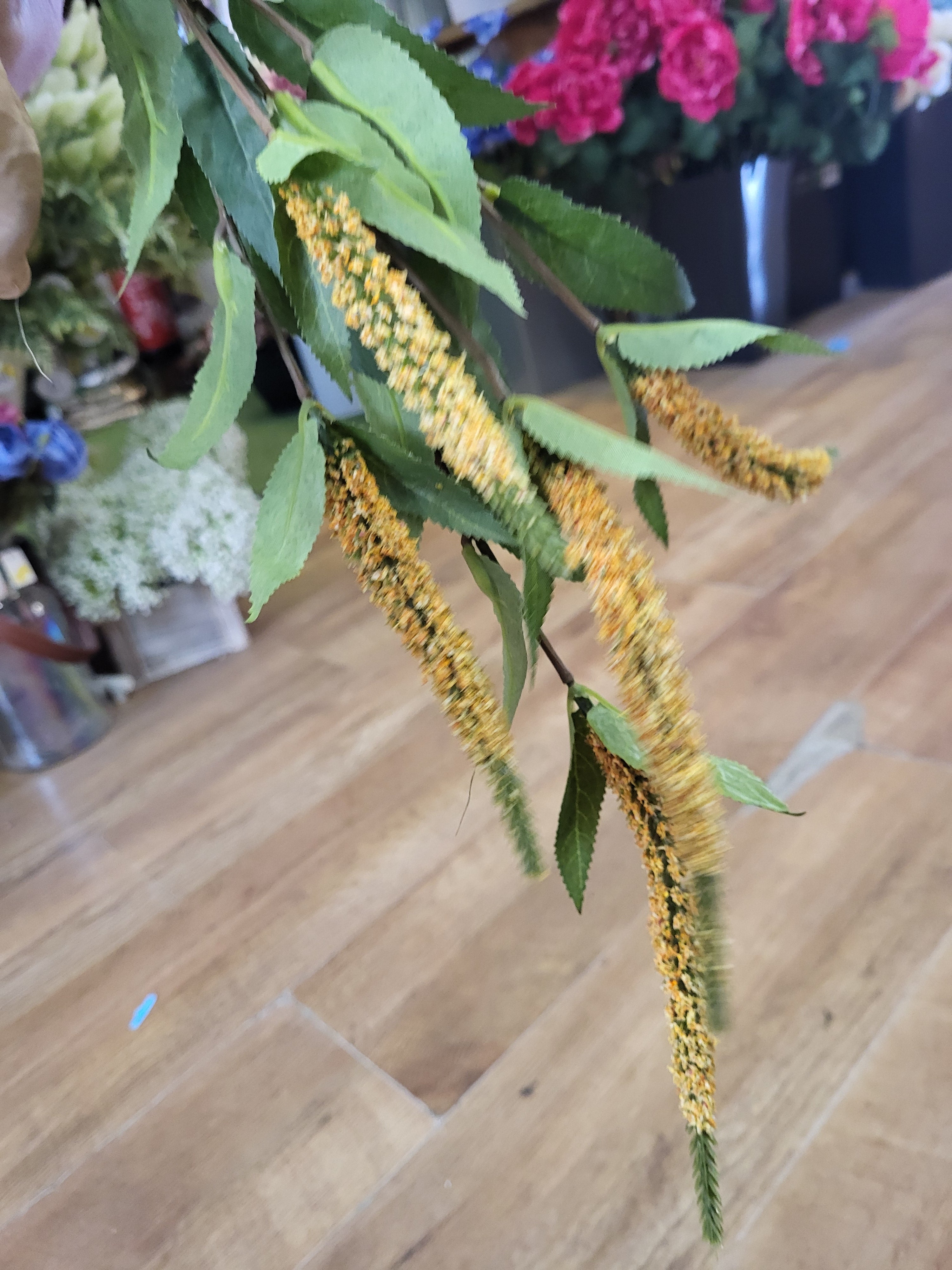 Long stem yellow Veronica spray image 2