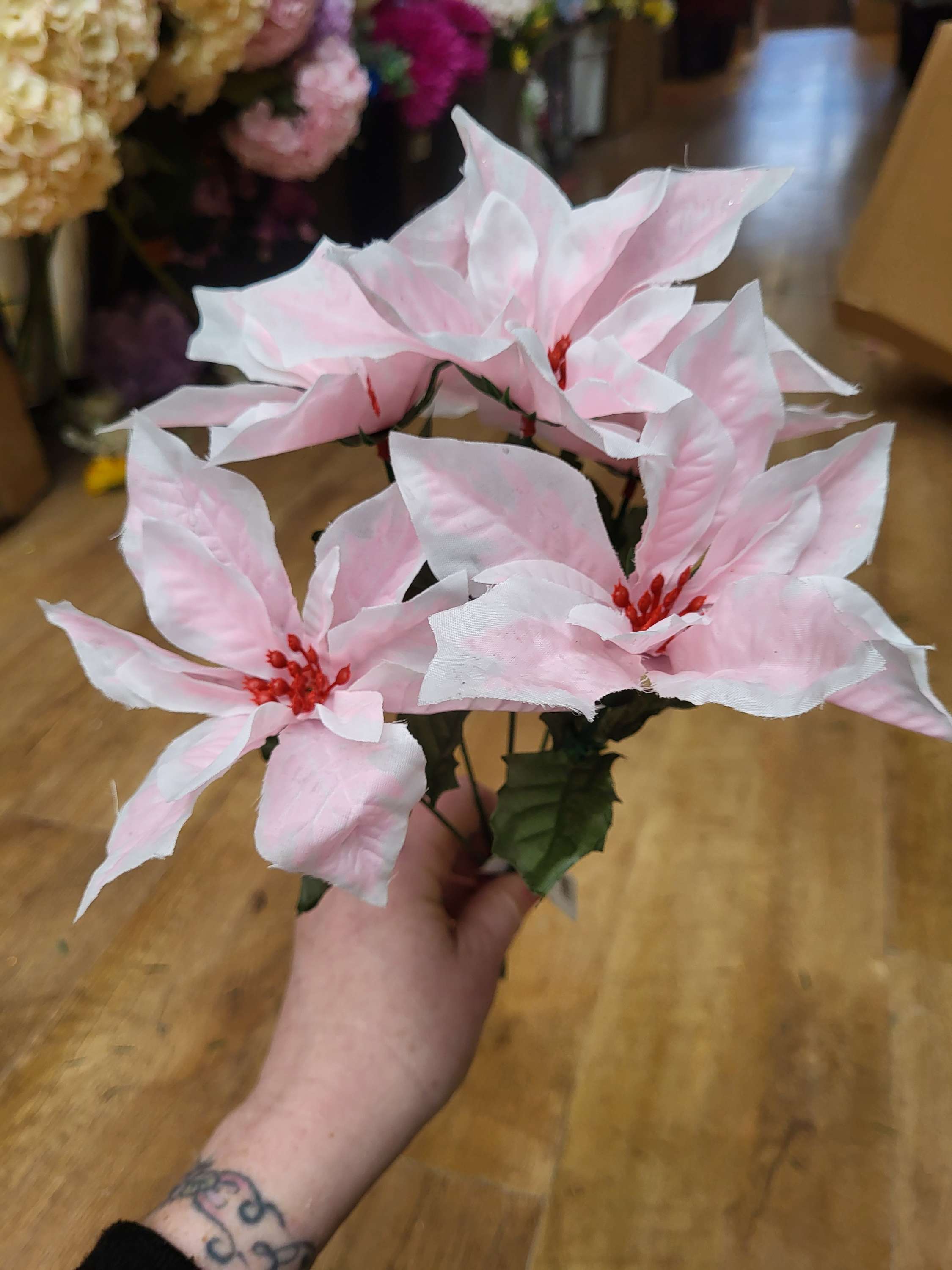 Pale pink and white poinsettia bunch image 1