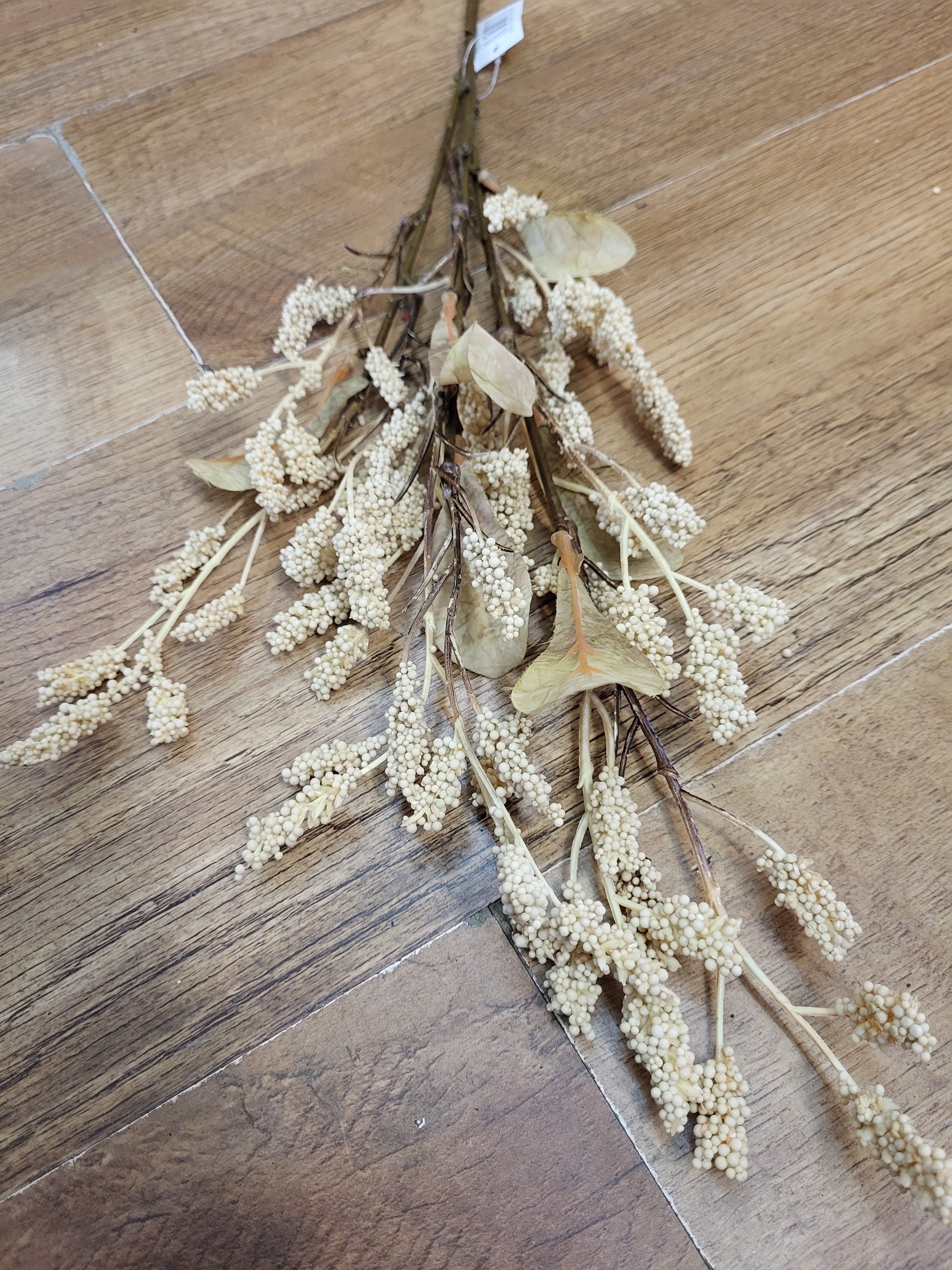 Dried inspired cream grain sorghum spray image 2