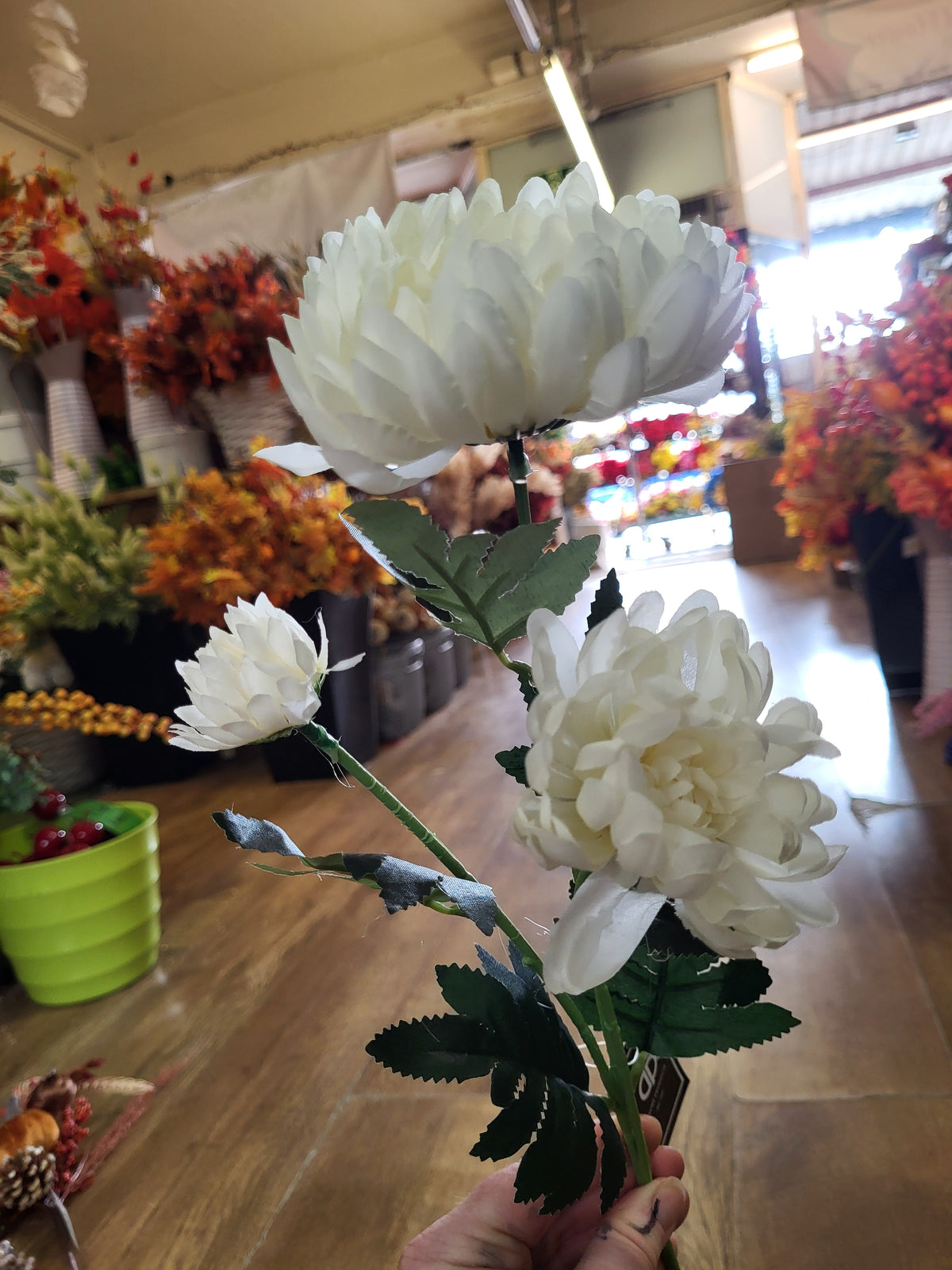 63cm tall Ivory 3 headed chrysanthemum stem image 8