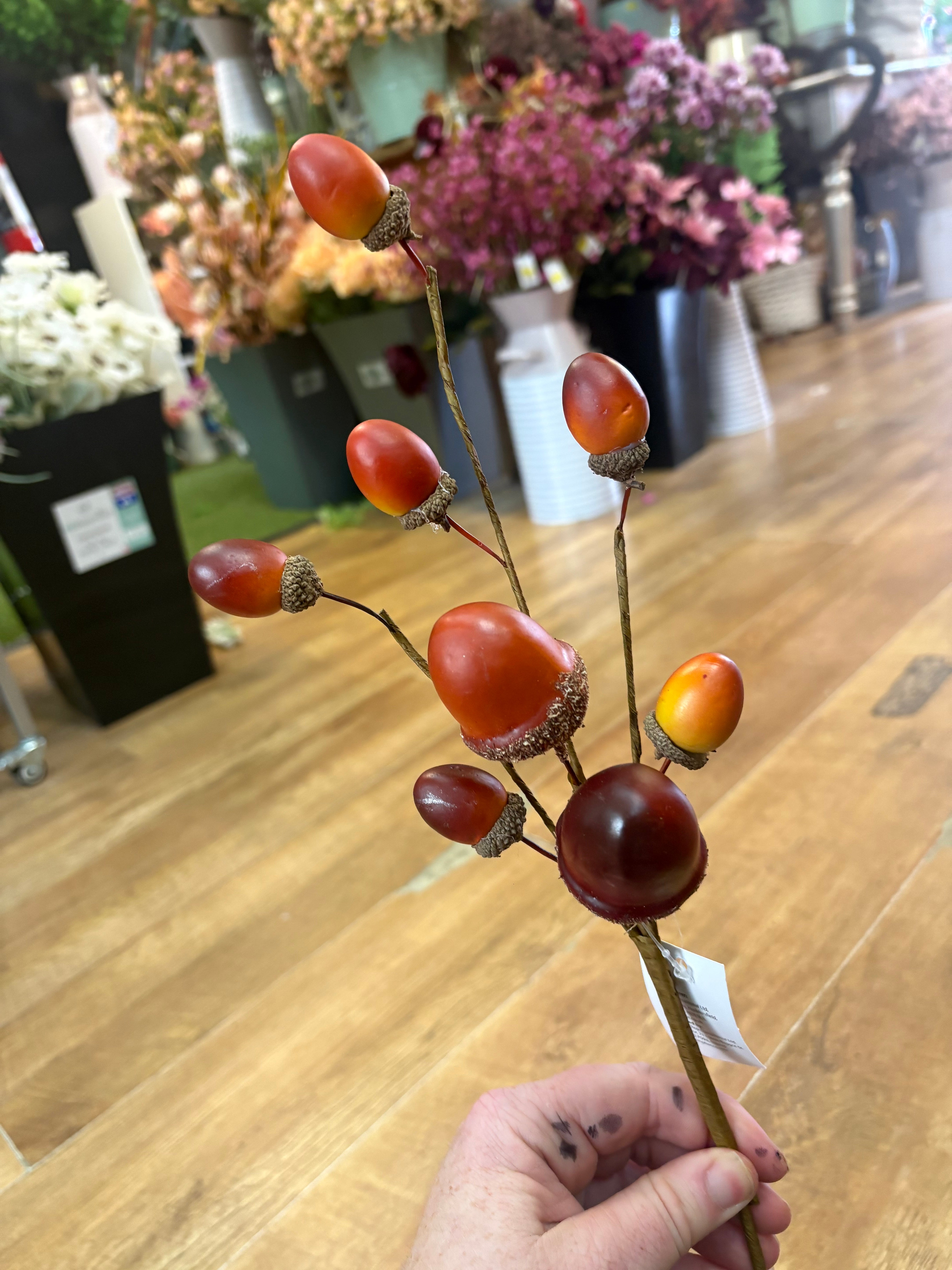 Acorn branch