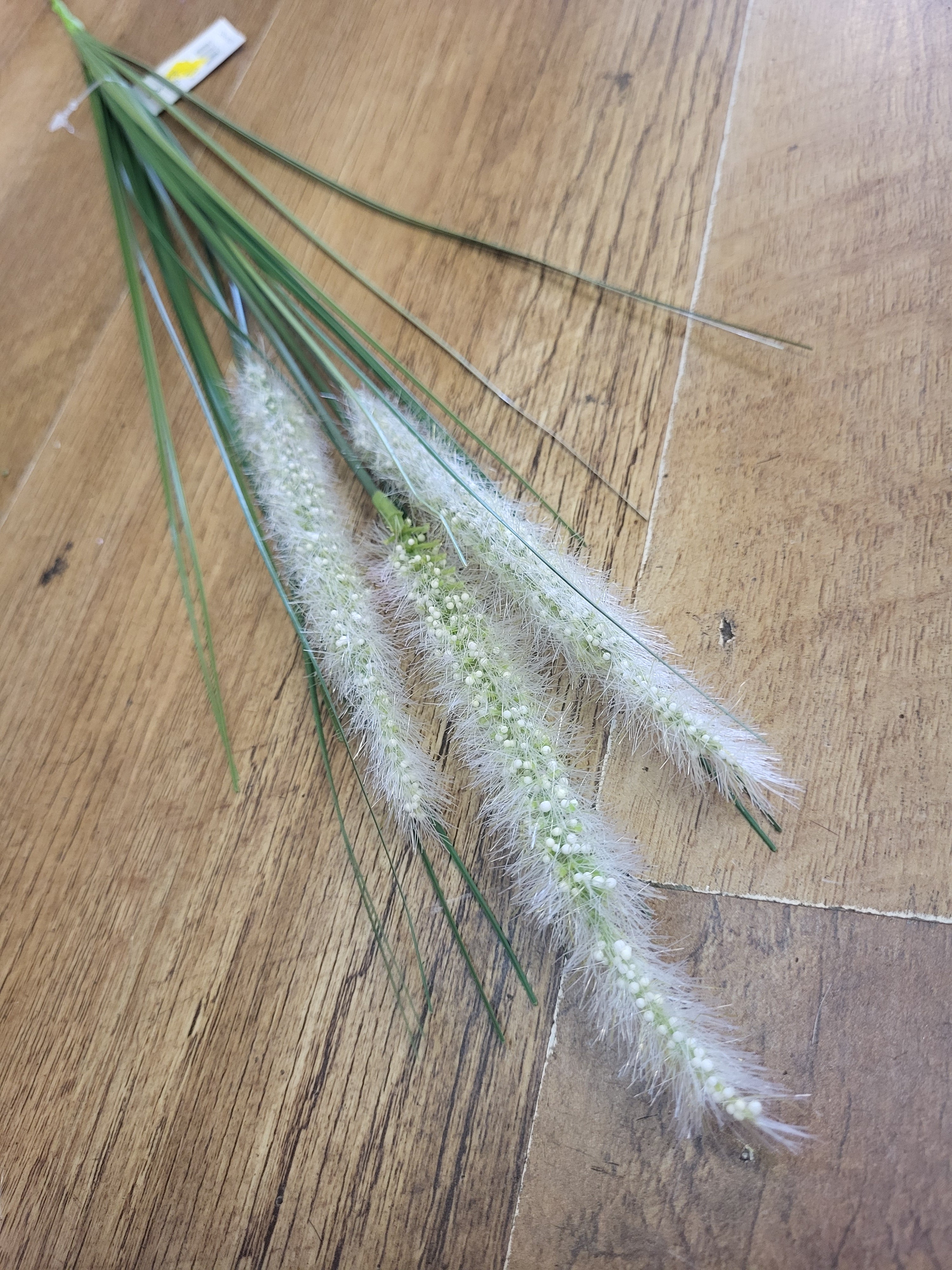 Long stem dog tail grass - 3 colours available image 3