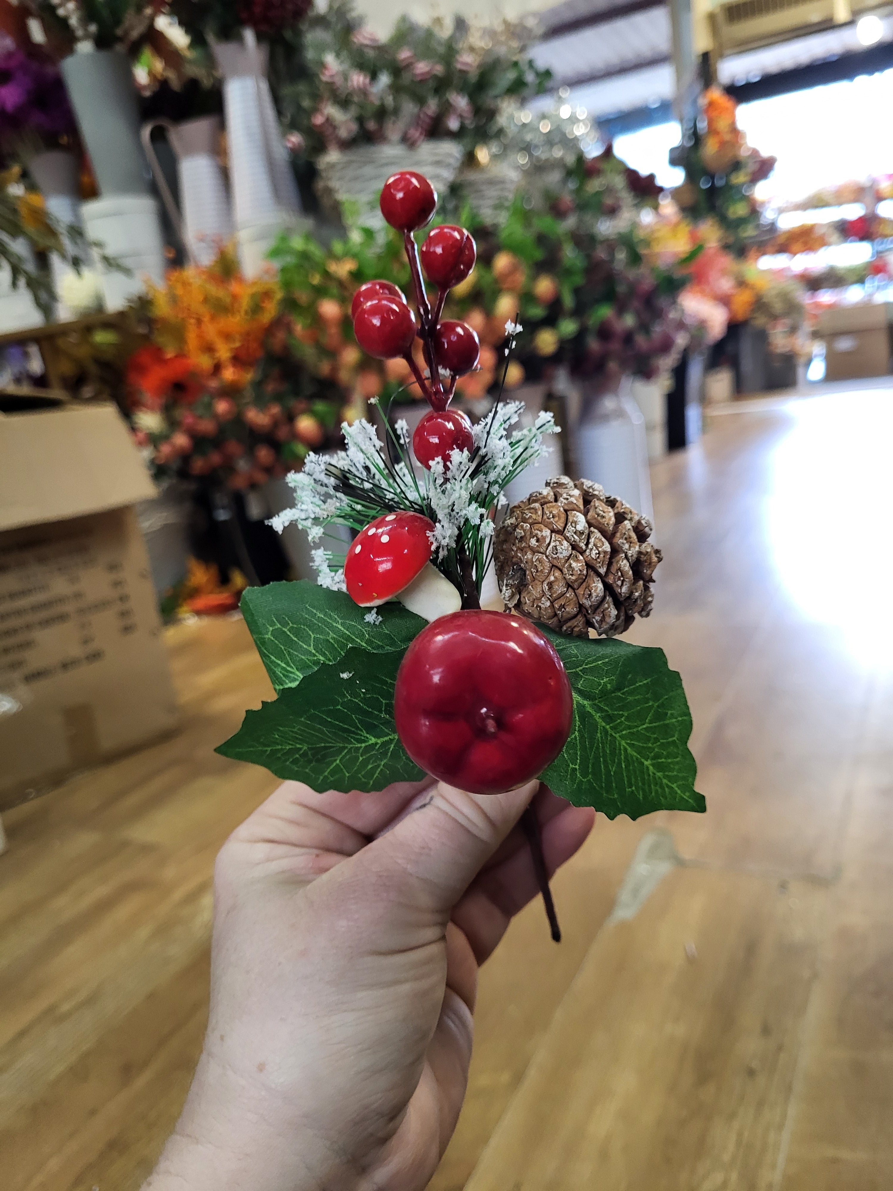 Apple and mini Toadstool pick image 2