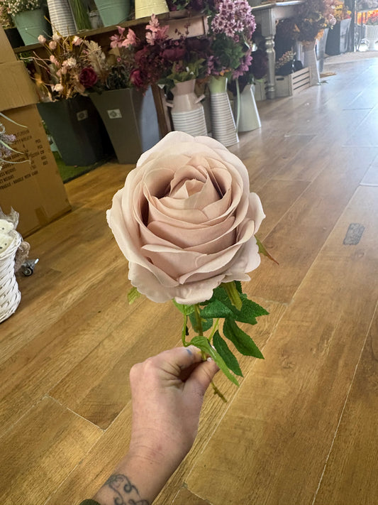 Single Nude harper rose