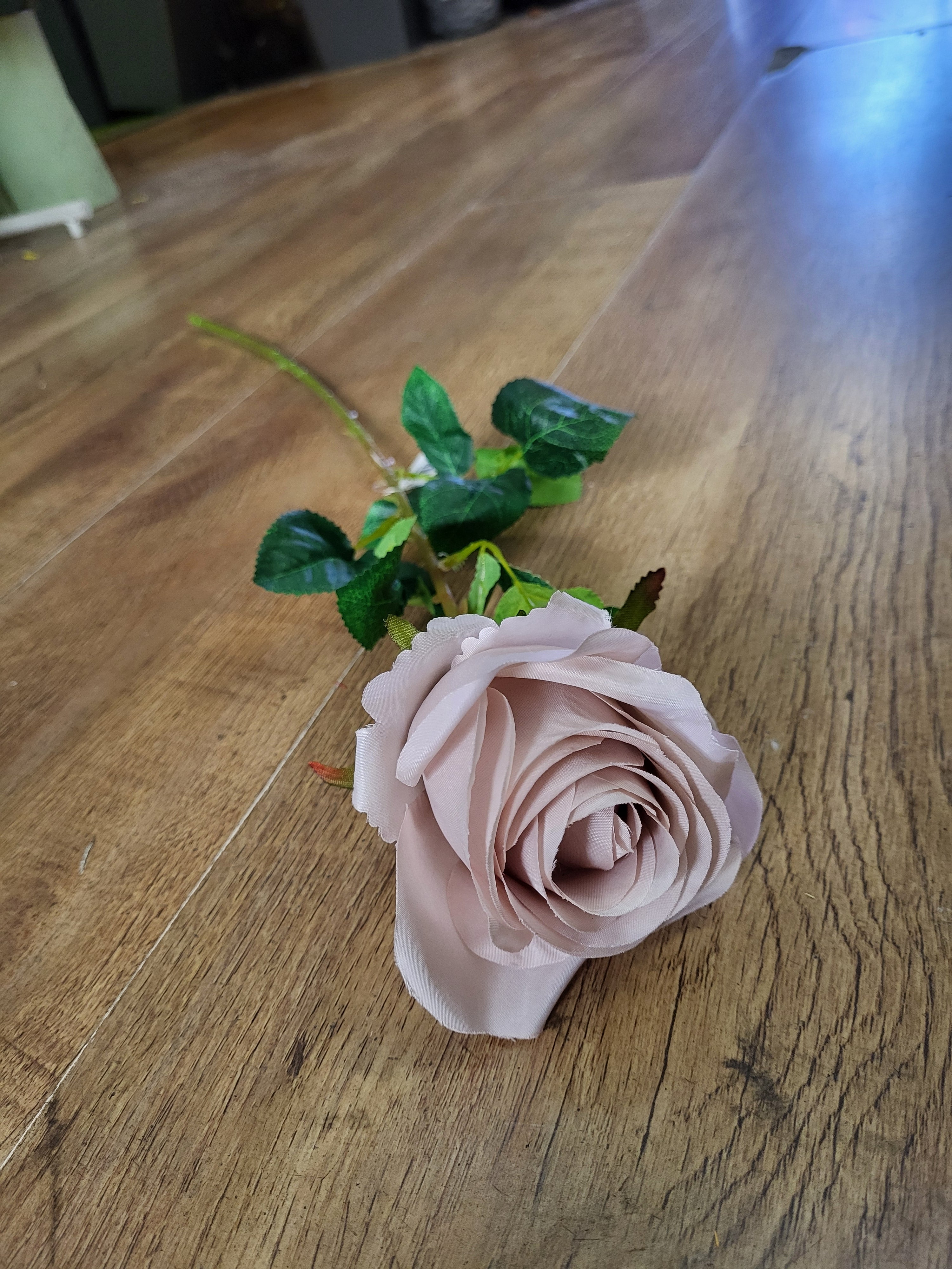 Single Nude Harper rose  image 0