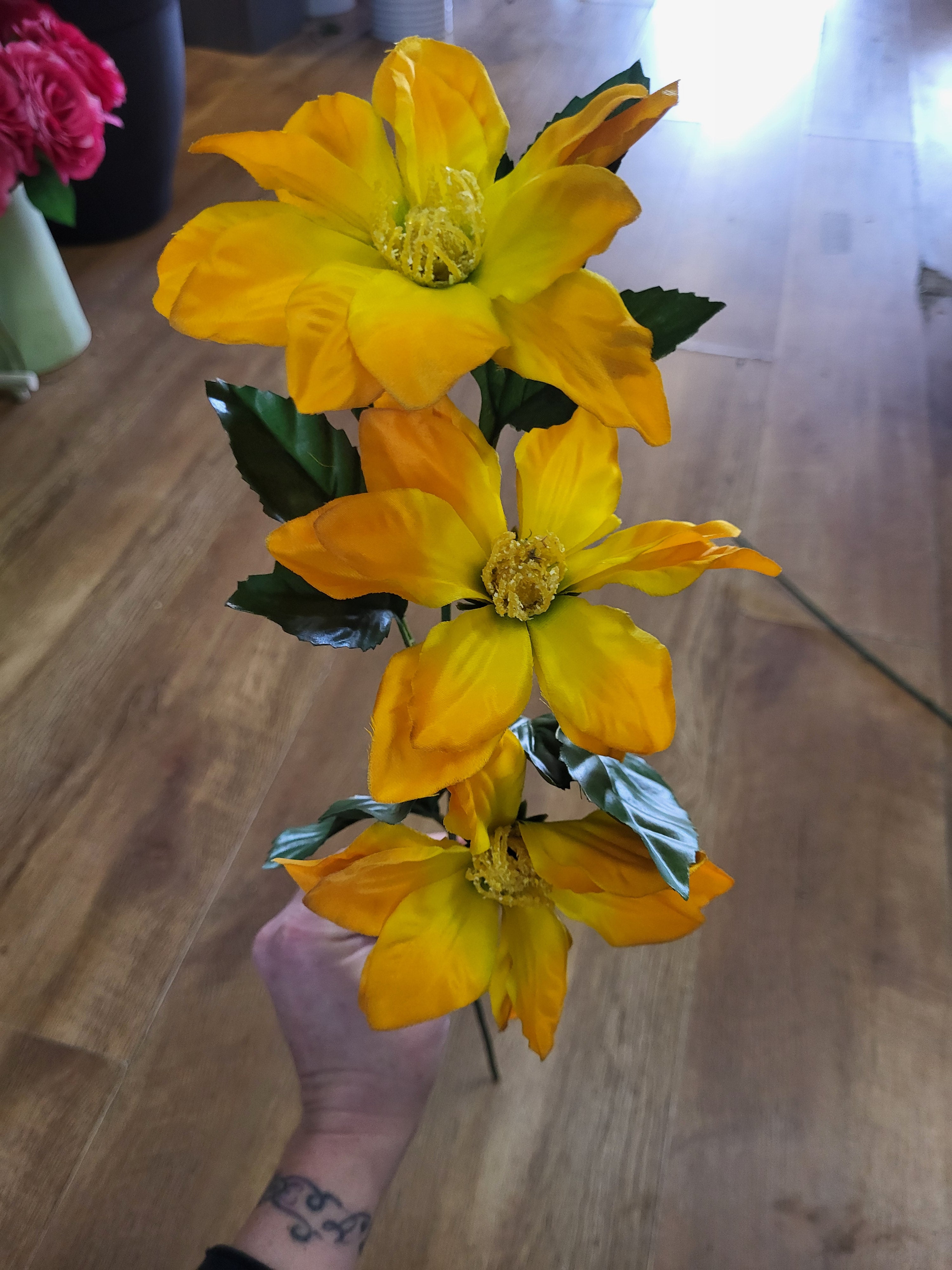 Long stem zinnia - 4 colours available image 10