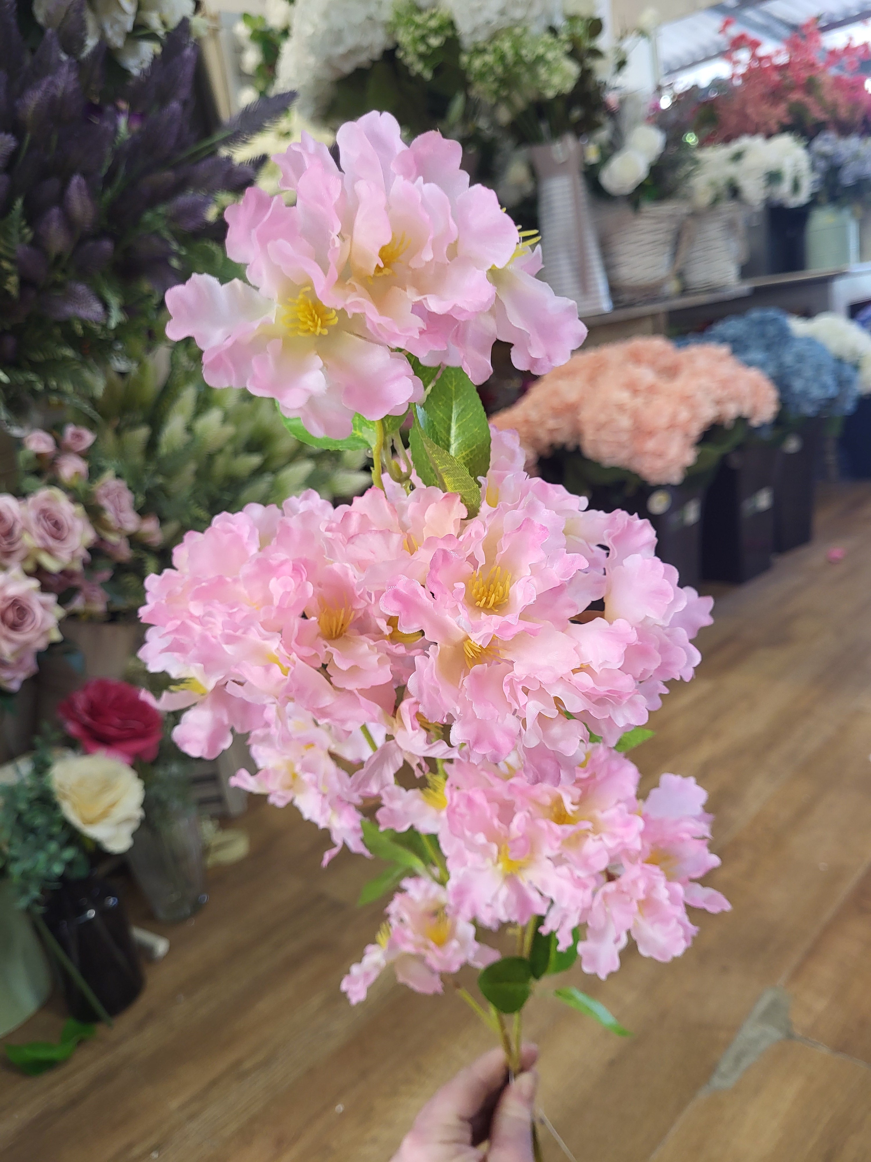 Long stem pink apple tree blossom image 0