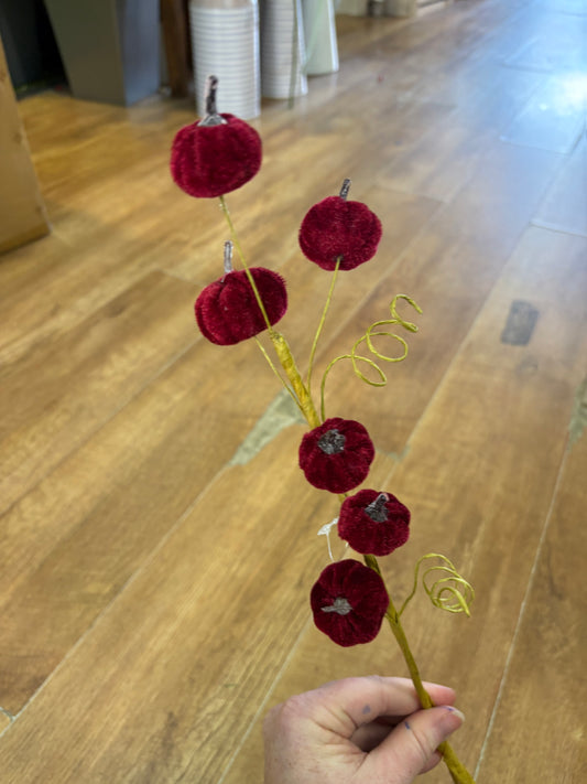 Burgundy miniature velvet pumpkin stem