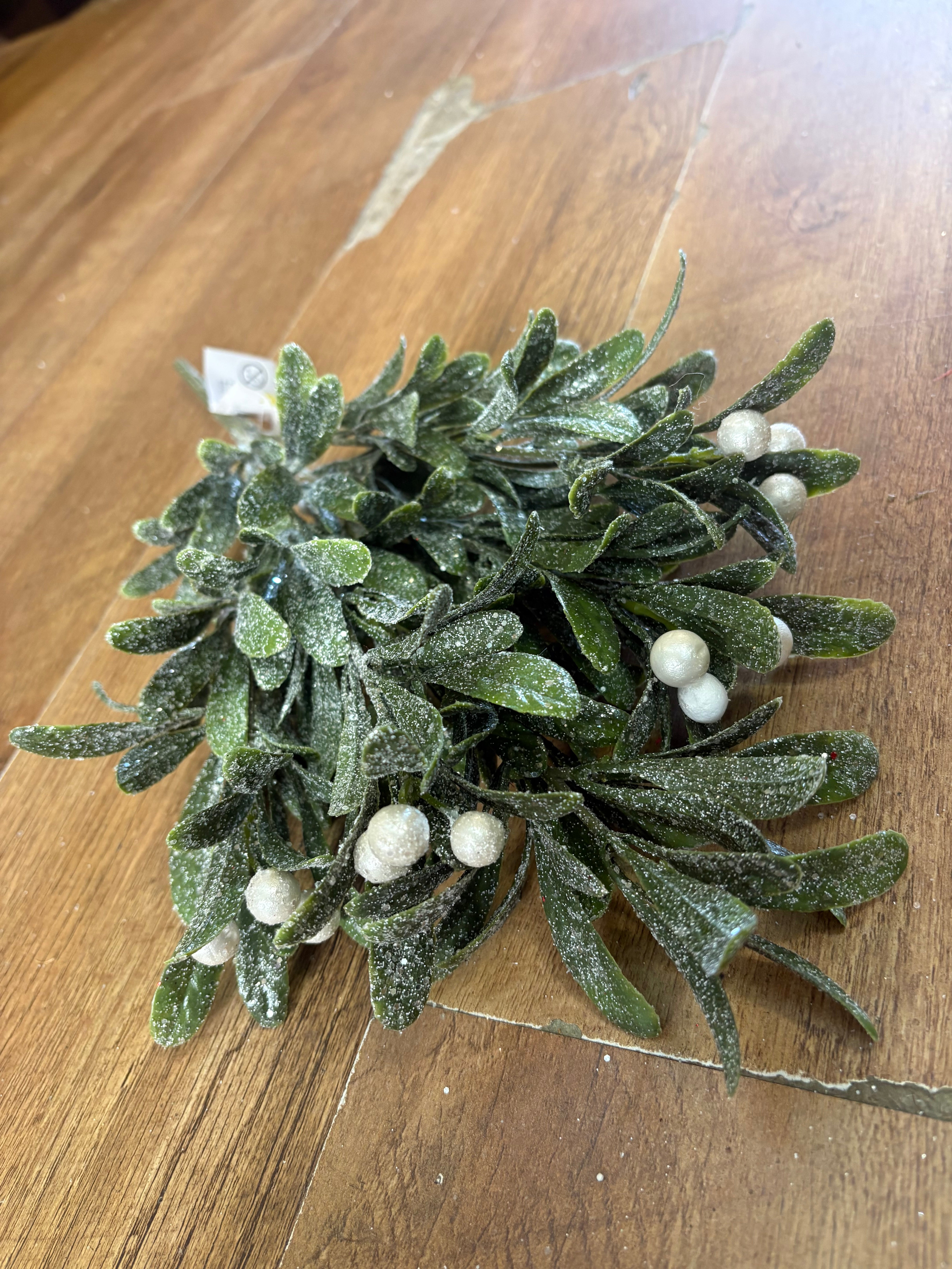Large bunch of frosted pearly mistletoe