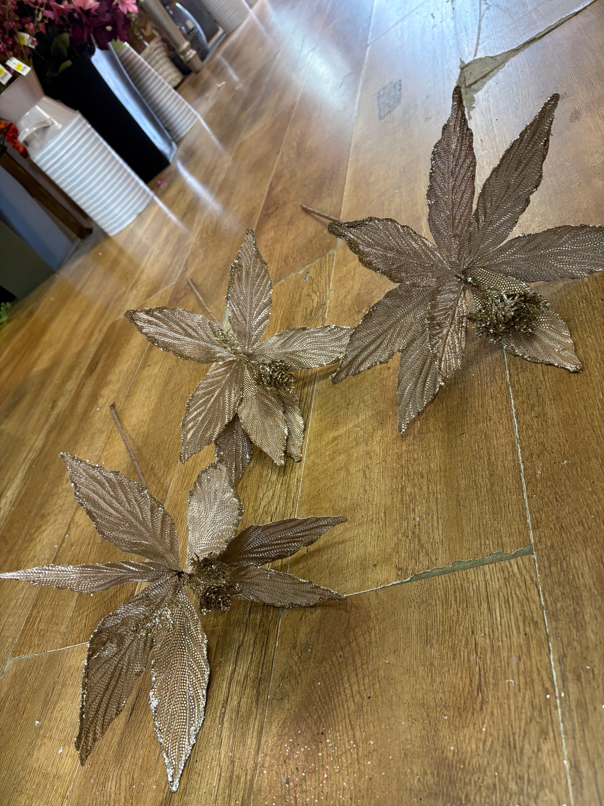 Bundle of 3 single champagne glittered poinsettias