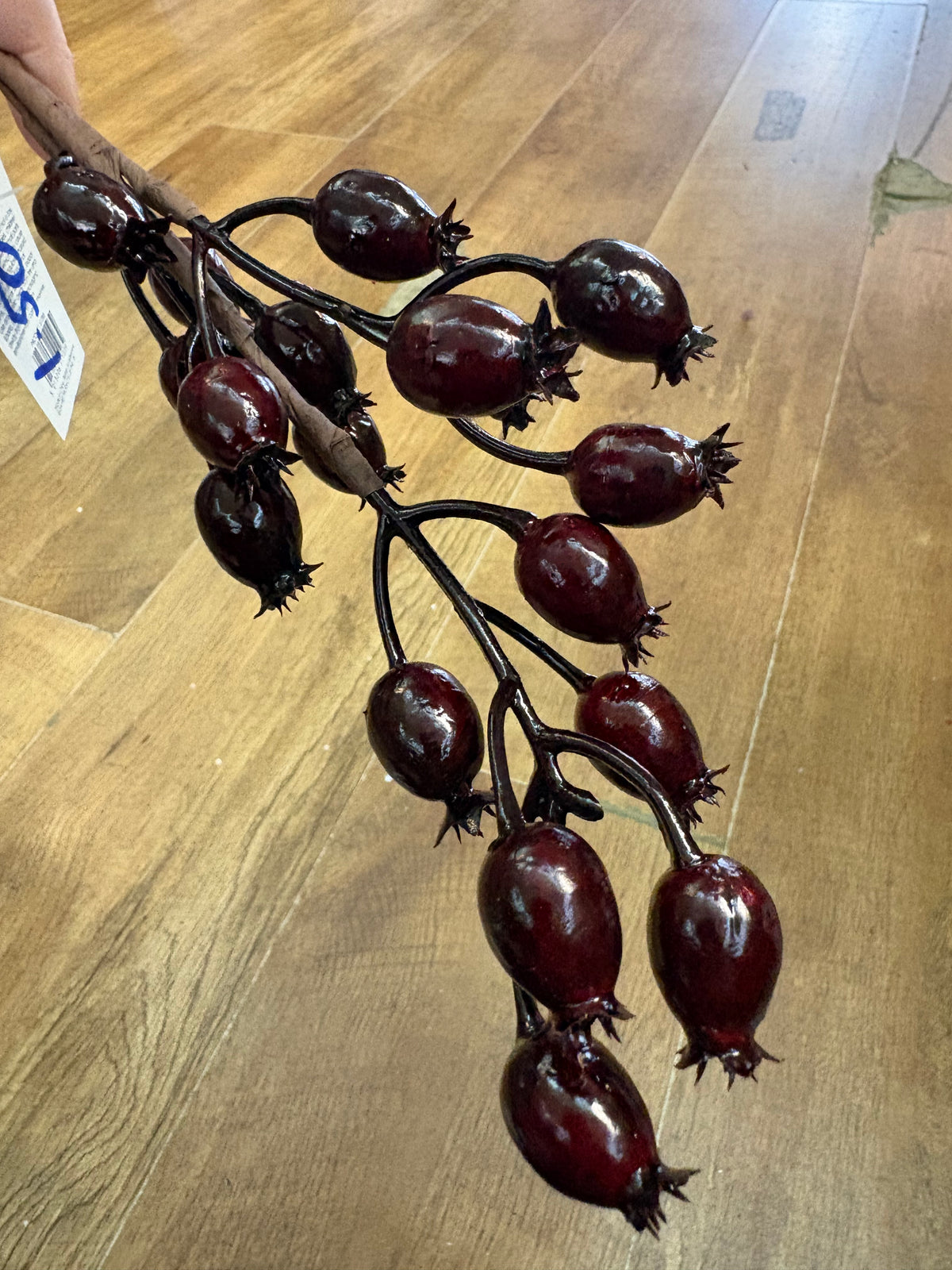 Deep burgundy rose hip pick