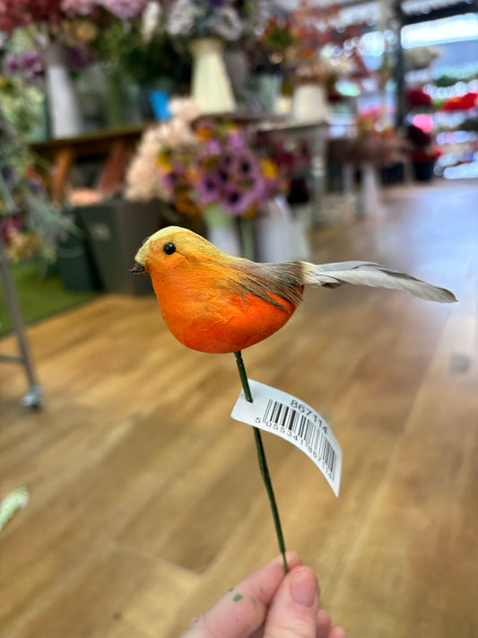Robin pick