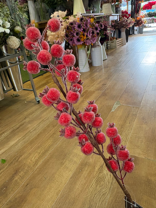 Long stem frosted rose hip stem