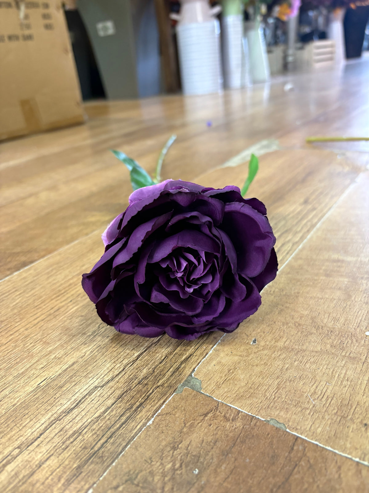 Long stem purple Lola peony