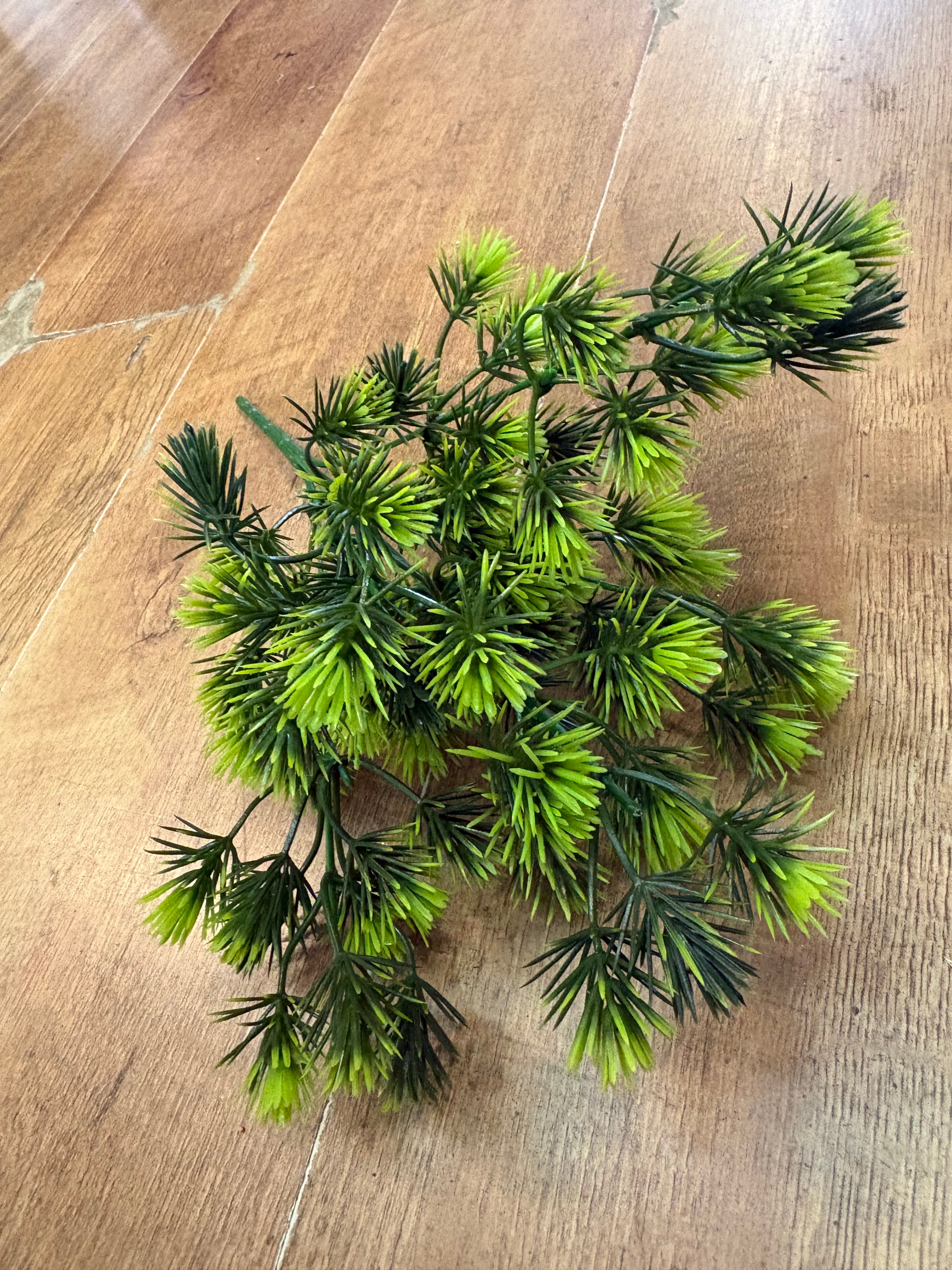Mini pine bunch