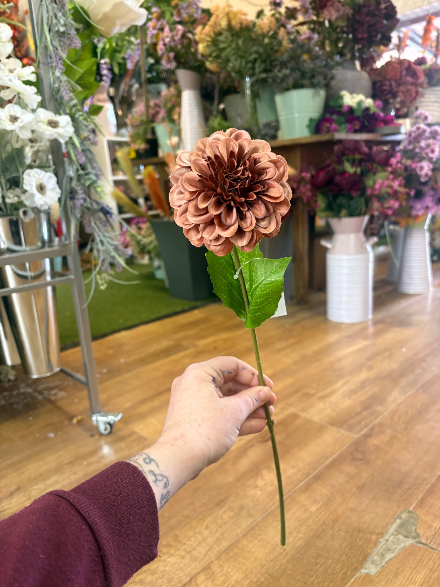 Medium length autumnal single dahlia