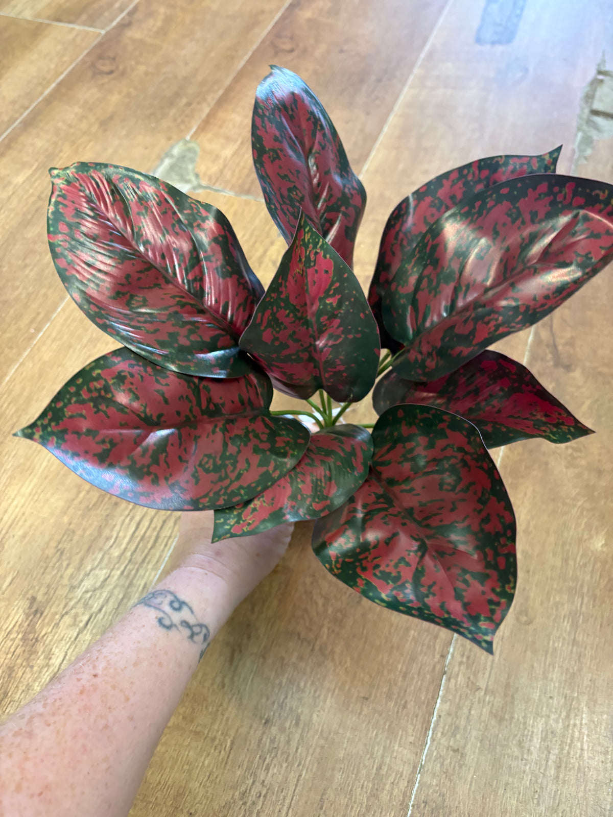Burgundy and green large leaf bunch