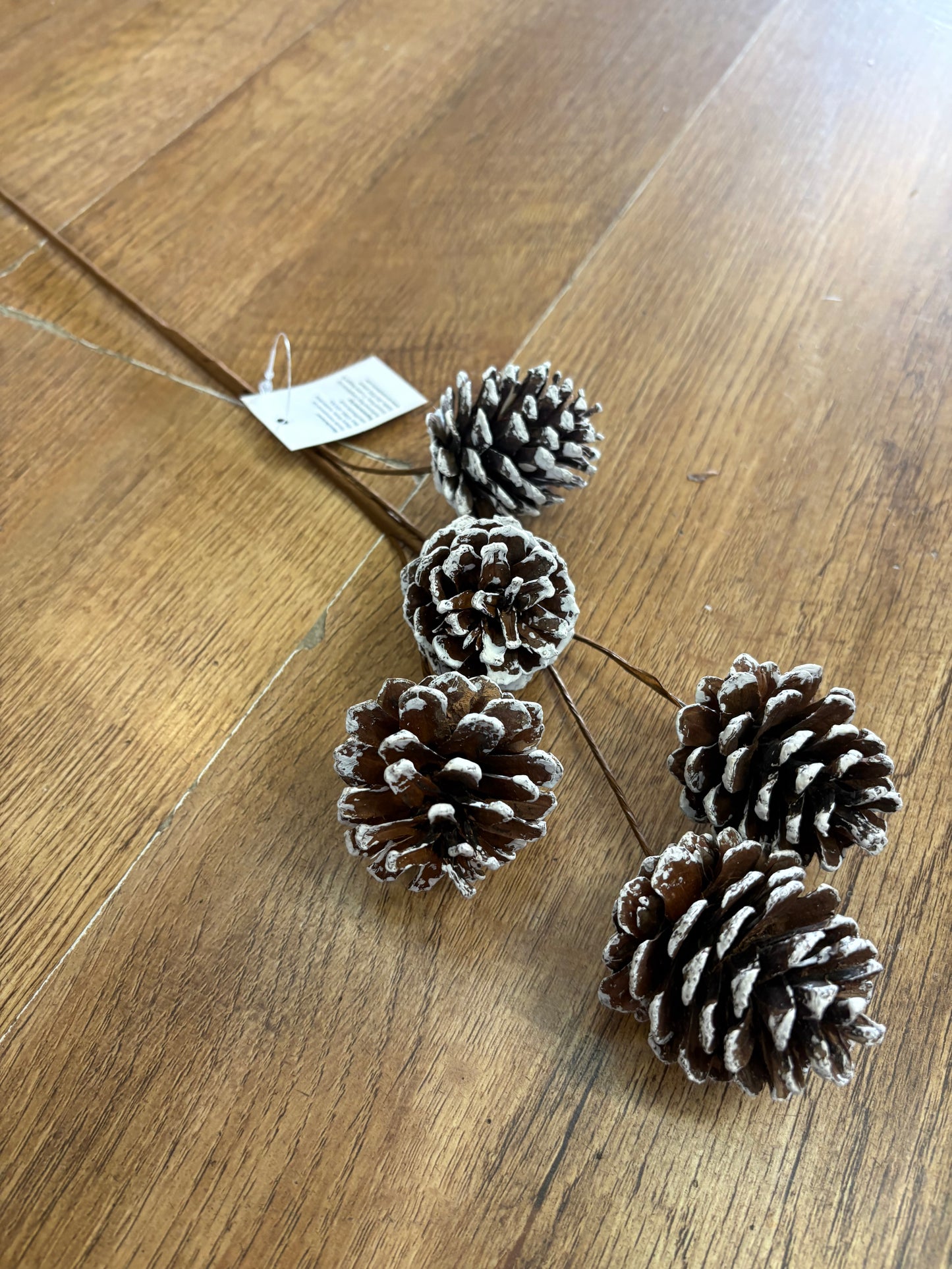 Medium length snowy natural cone stem