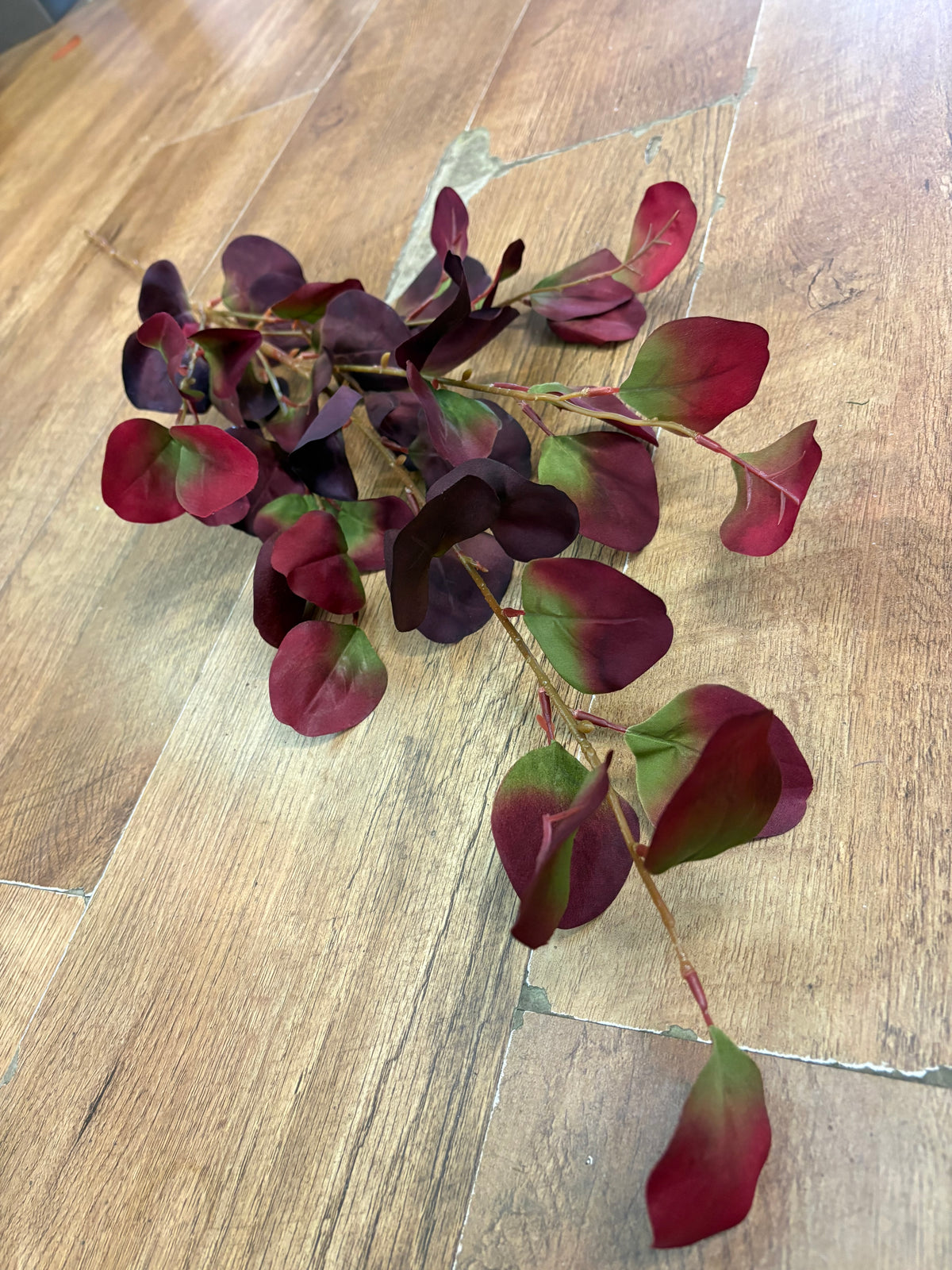 90cm tall burgundy and green silver dollar eucalyptus spray