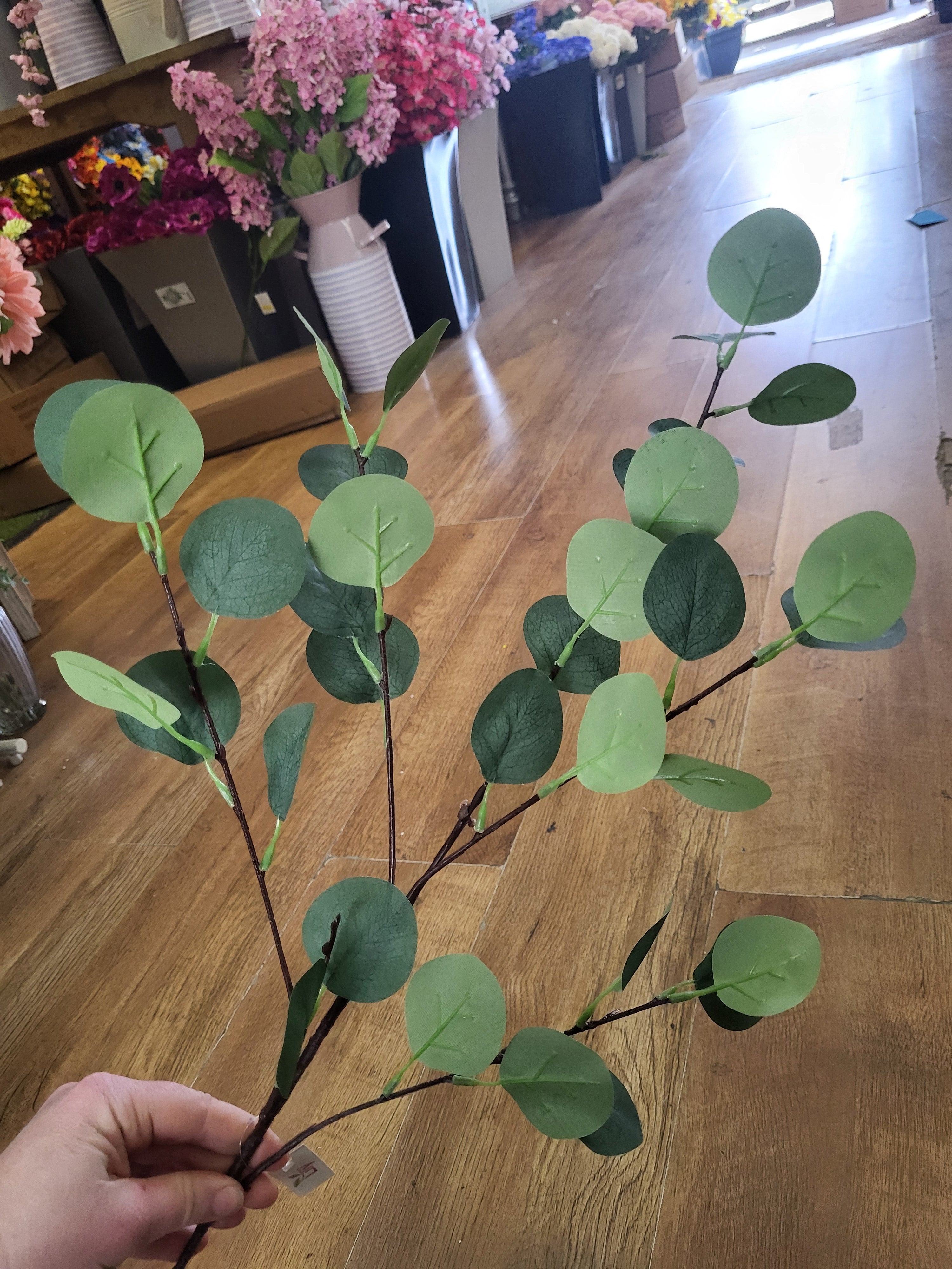 Long stem eucalyptus spray image 1